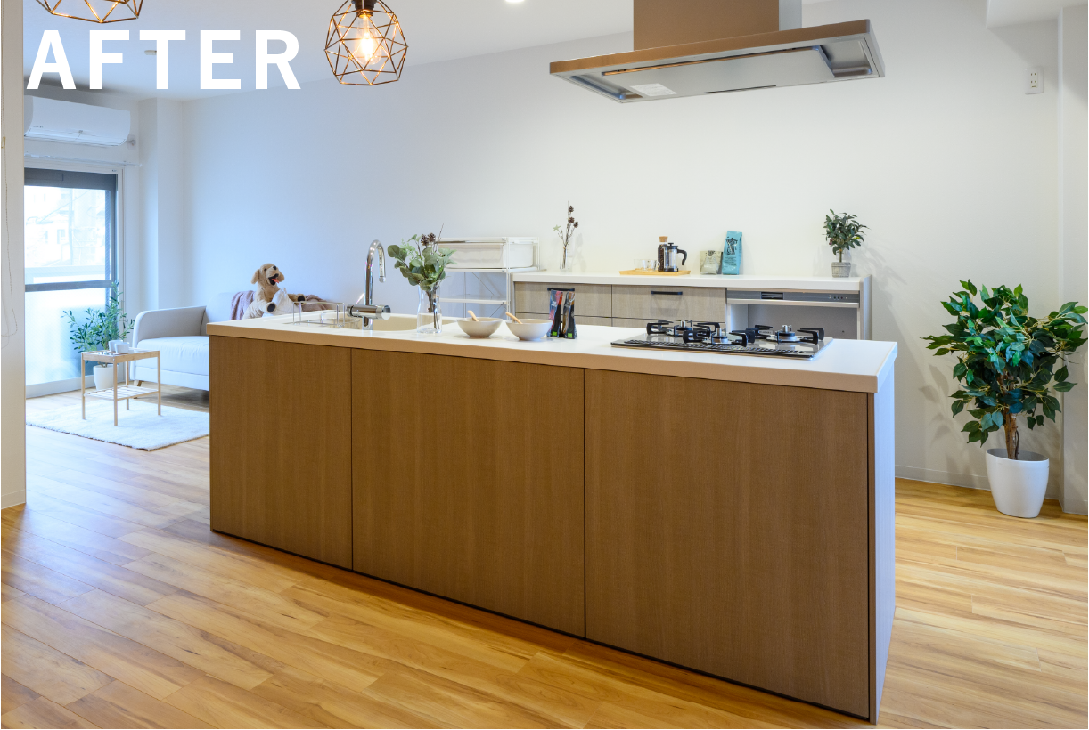 ギャラリーイメージ