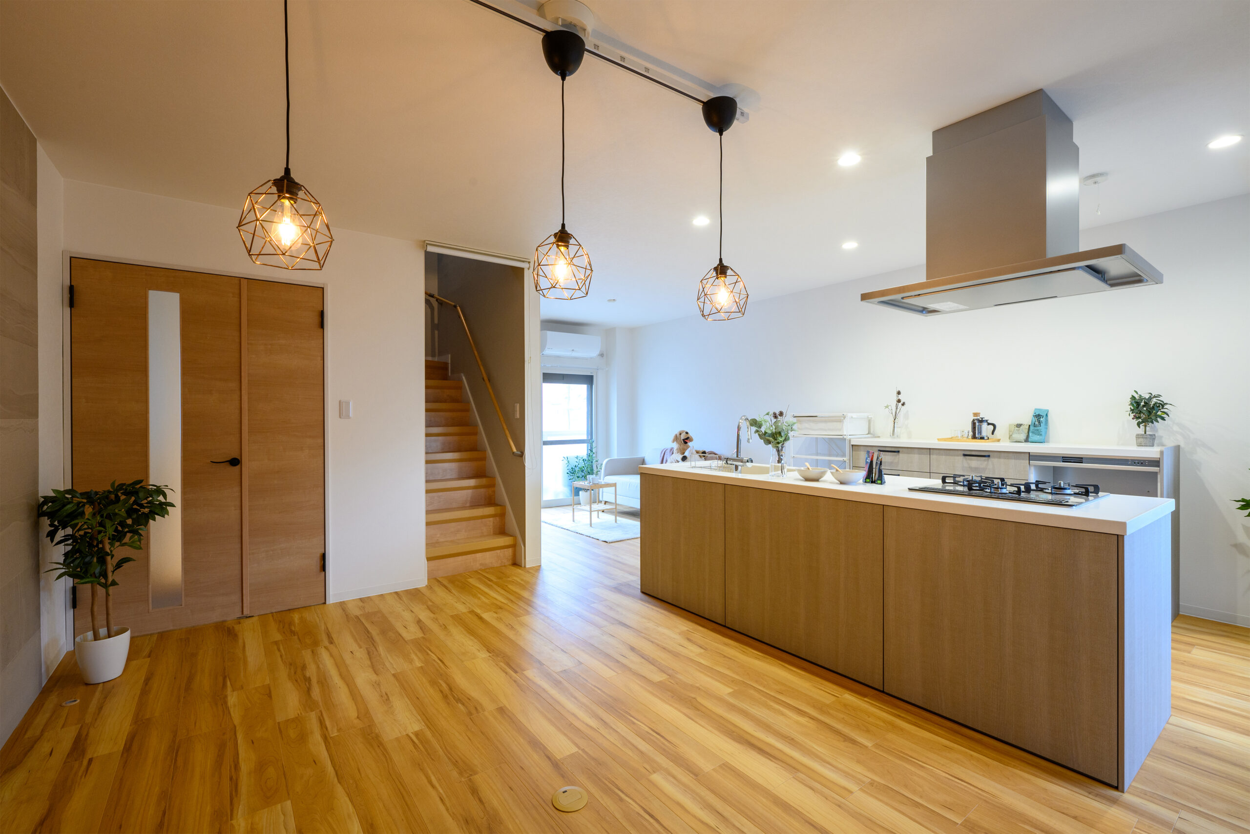 ギャラリーイメージ