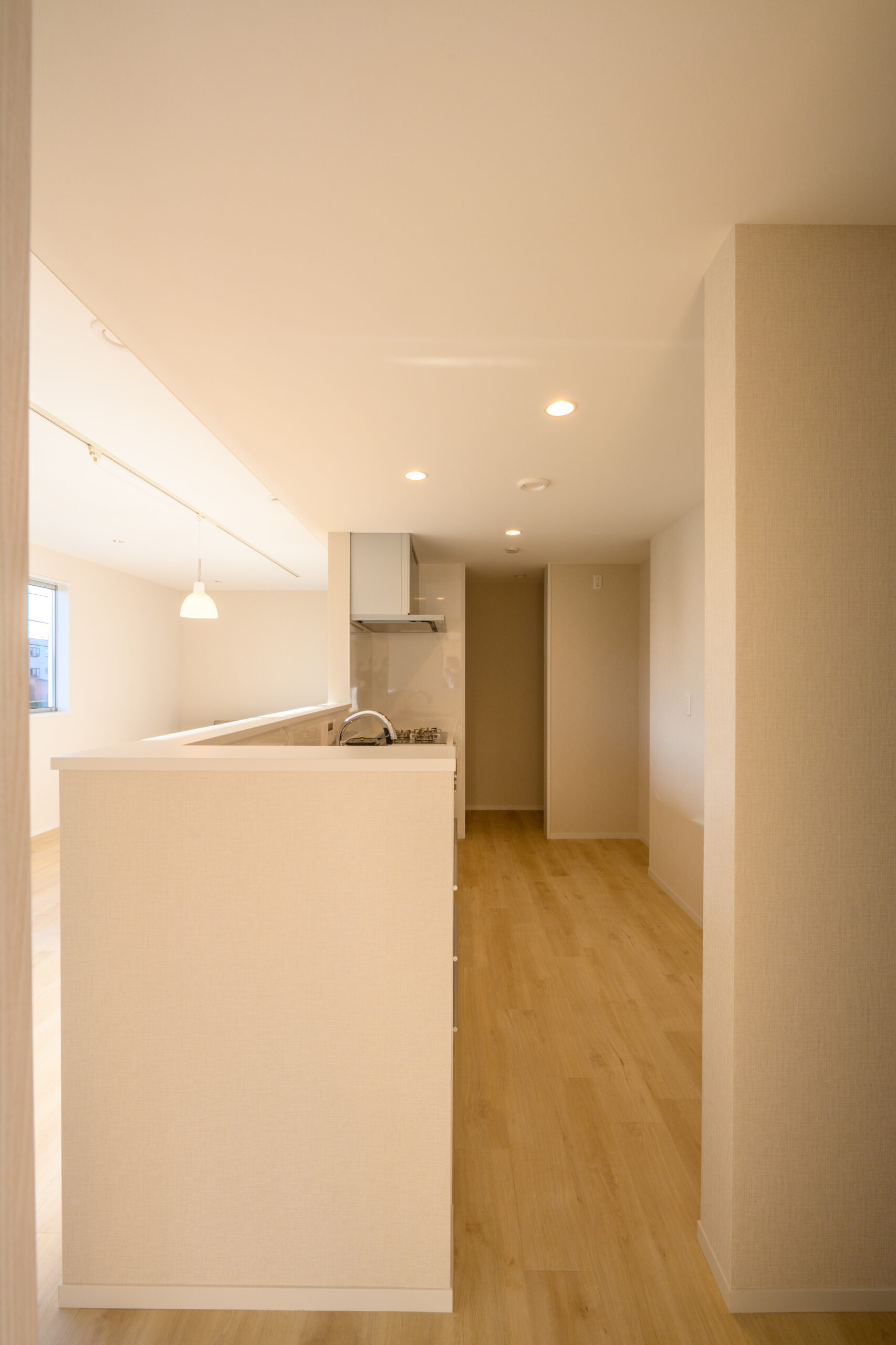 ギャラリーイメージ