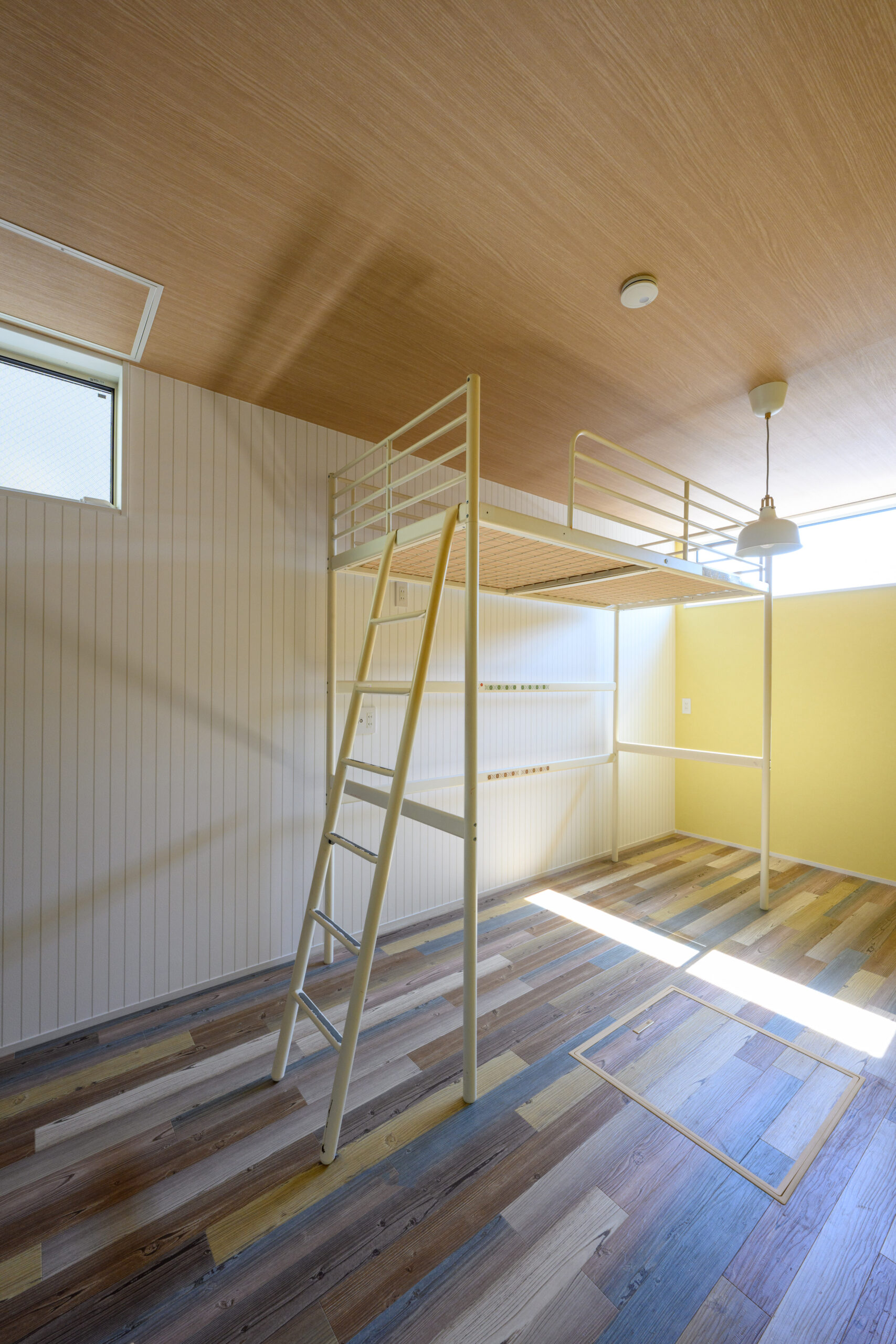 ギャラリーイメージ