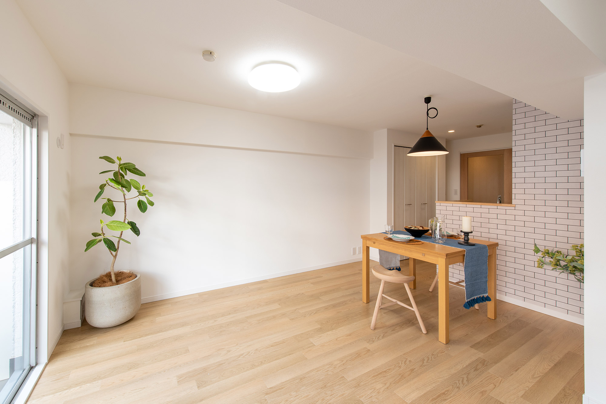 ギャラリーイメージ