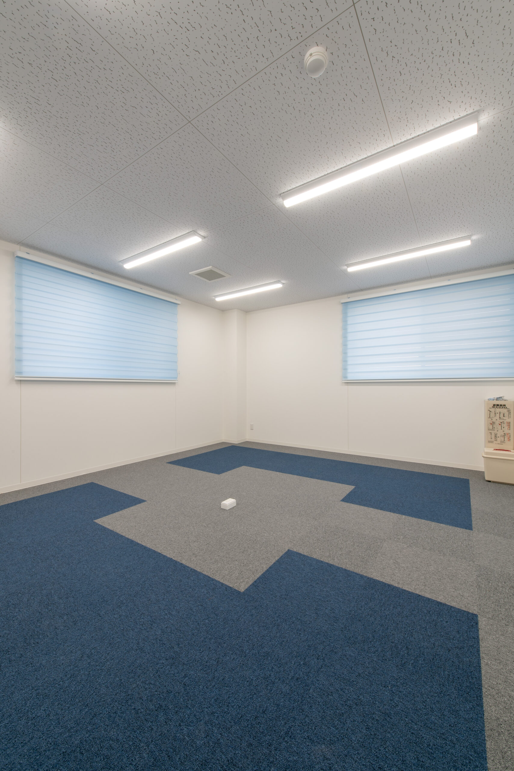 ギャラリーイメージ