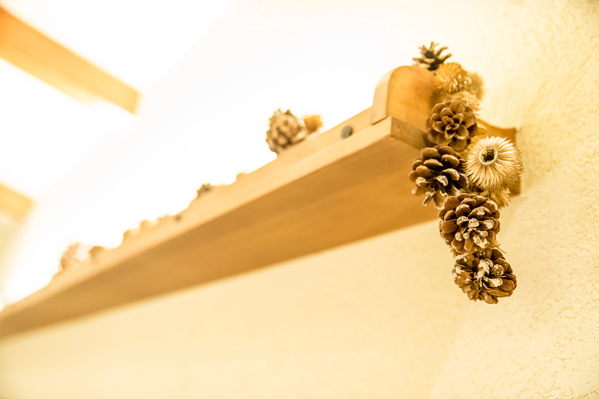 ギャラリーイメージ