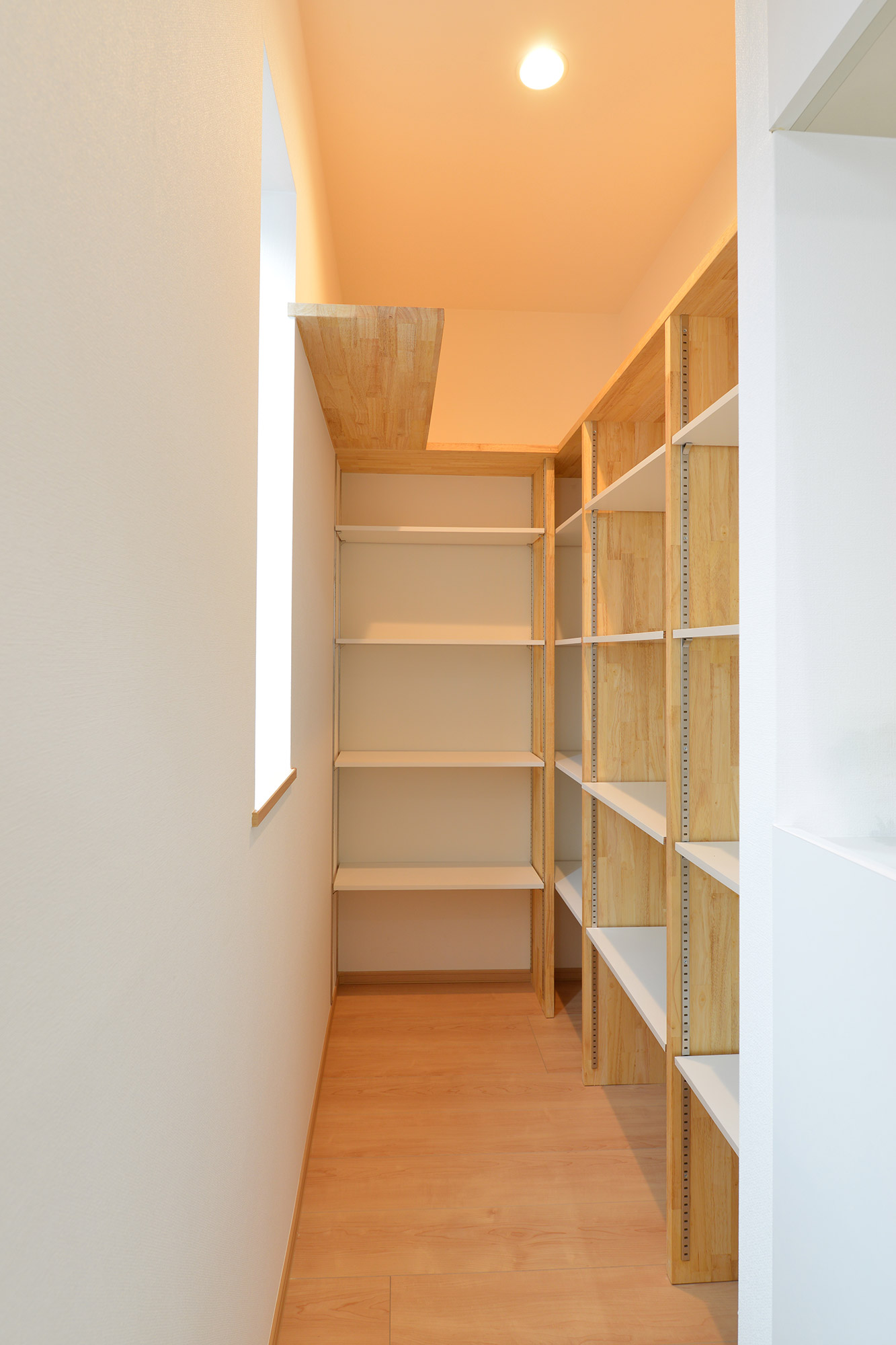 ギャラリーイメージ