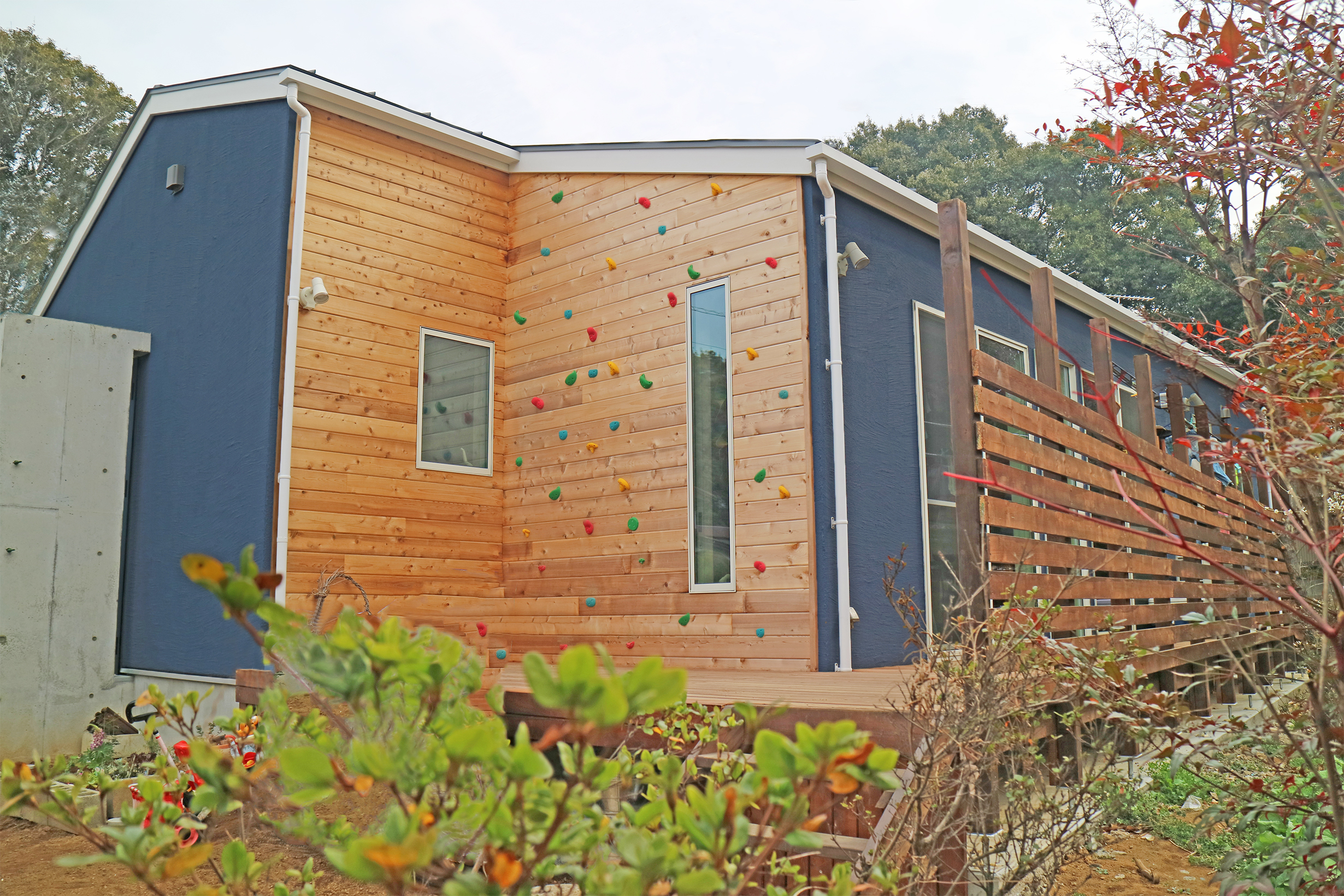 ギャラリーイメージ