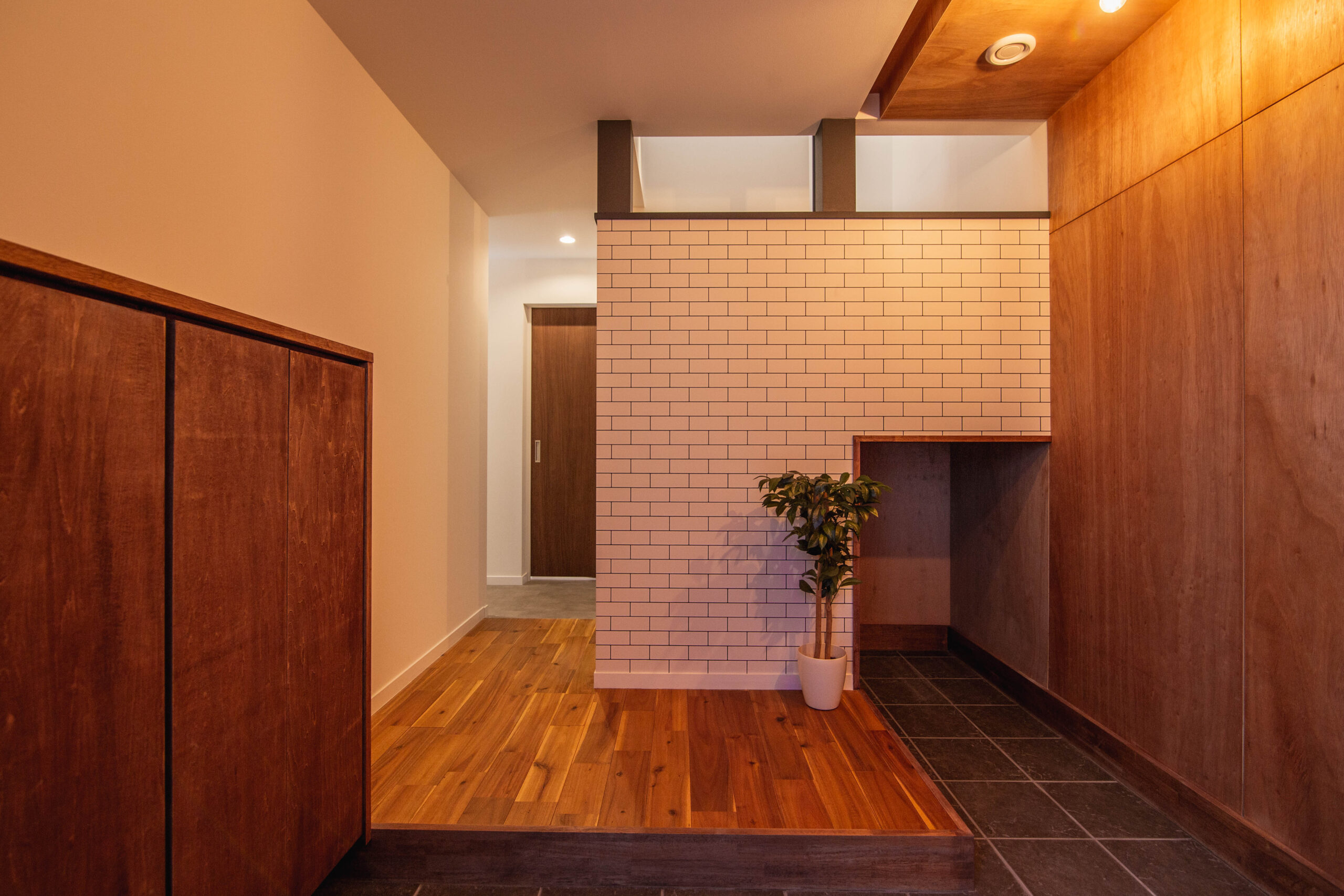 ギャラリーイメージ