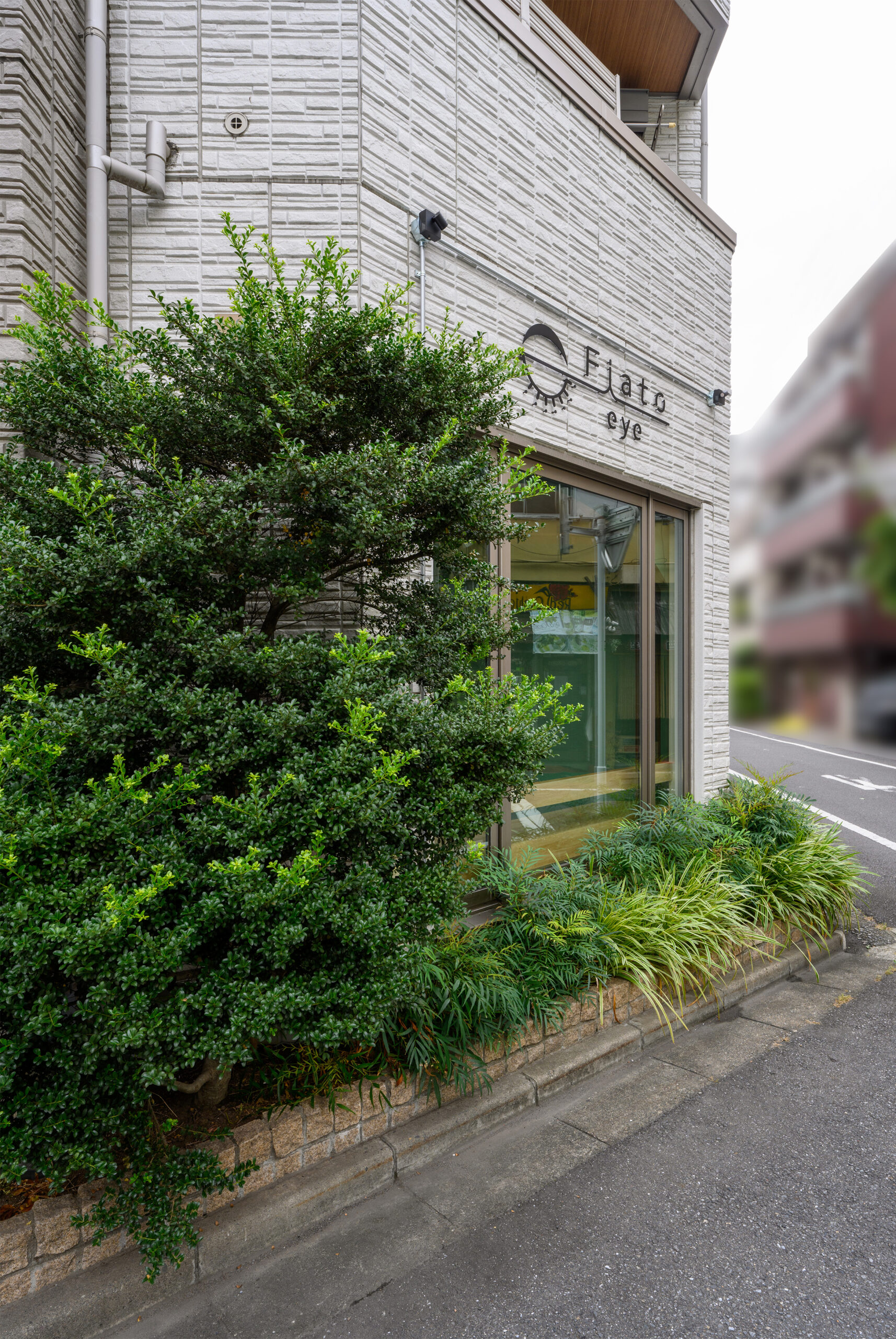 ギャラリーイメージ