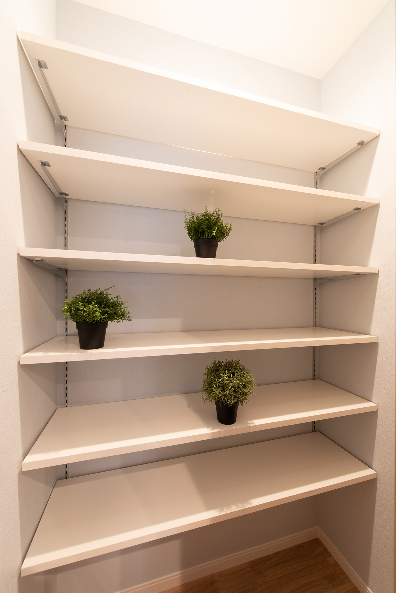 ギャラリーイメージ