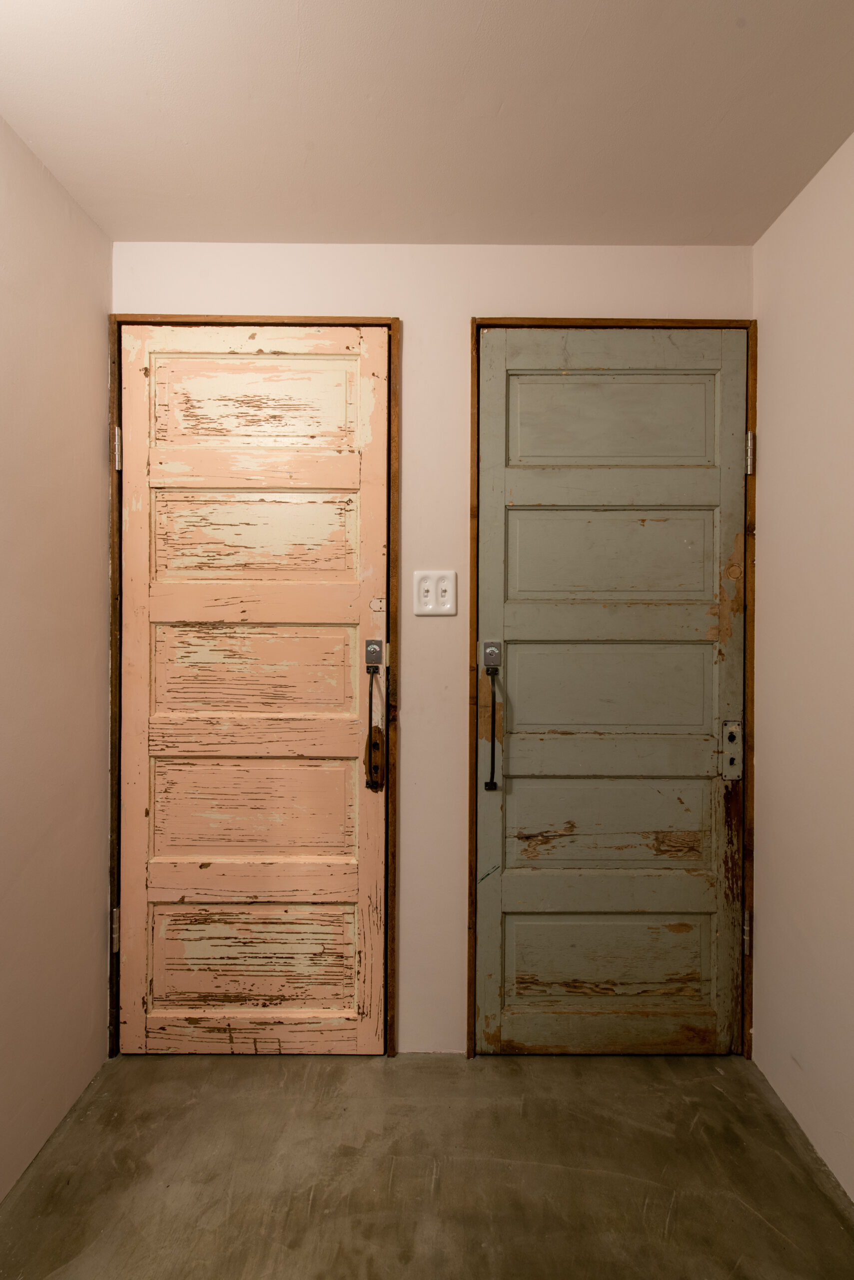 ギャラリーイメージ