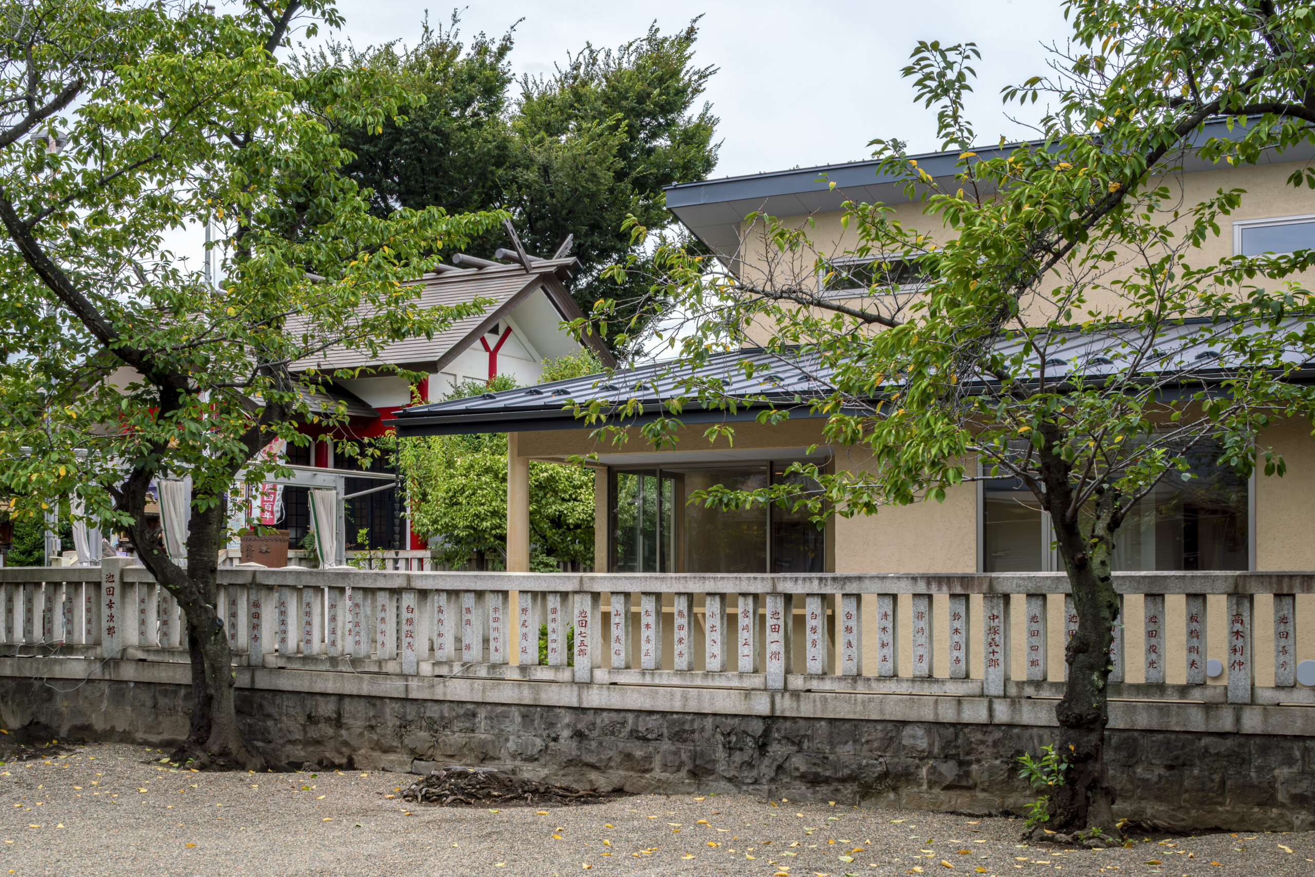 ギャラリーイメージ