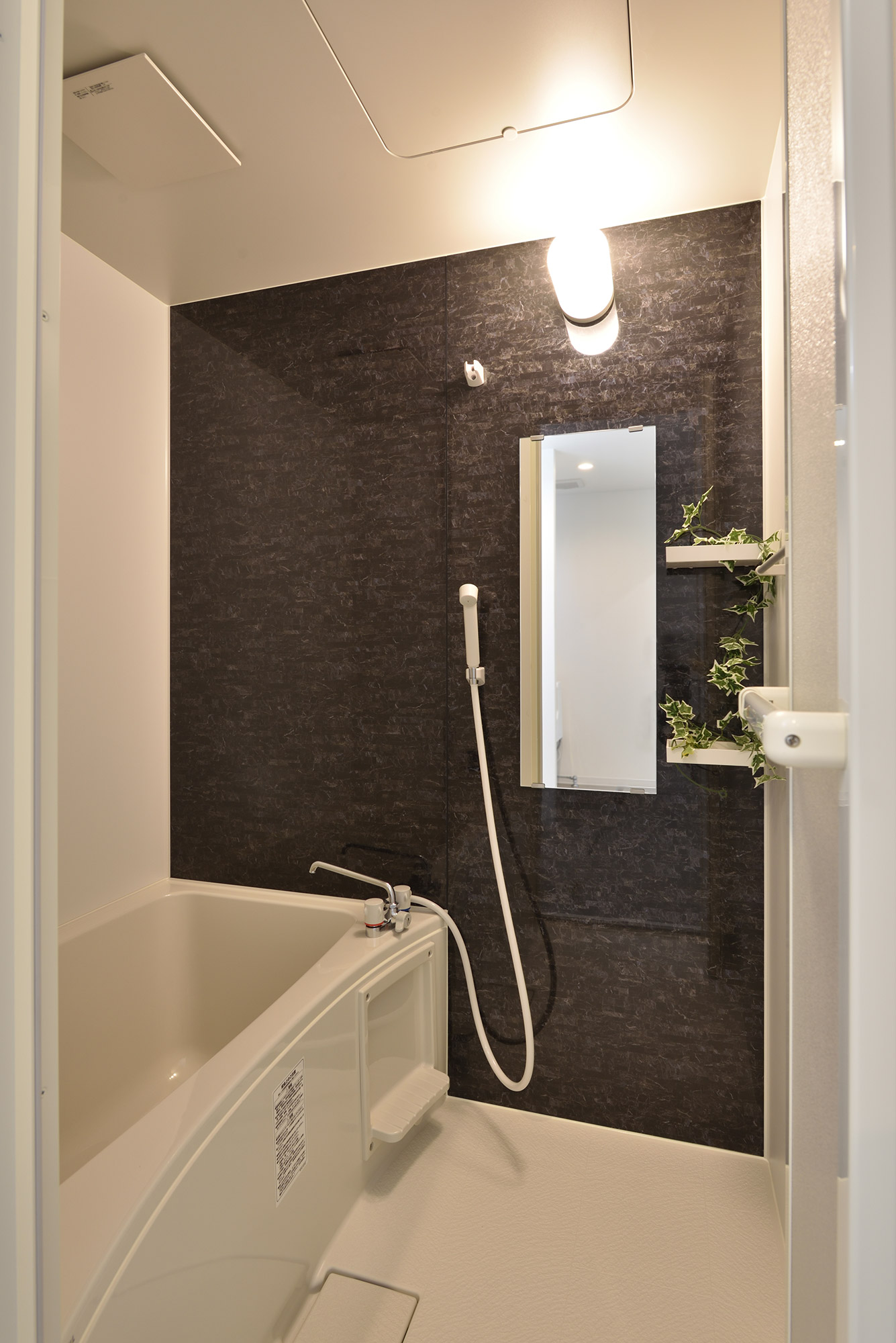 ギャラリーイメージ