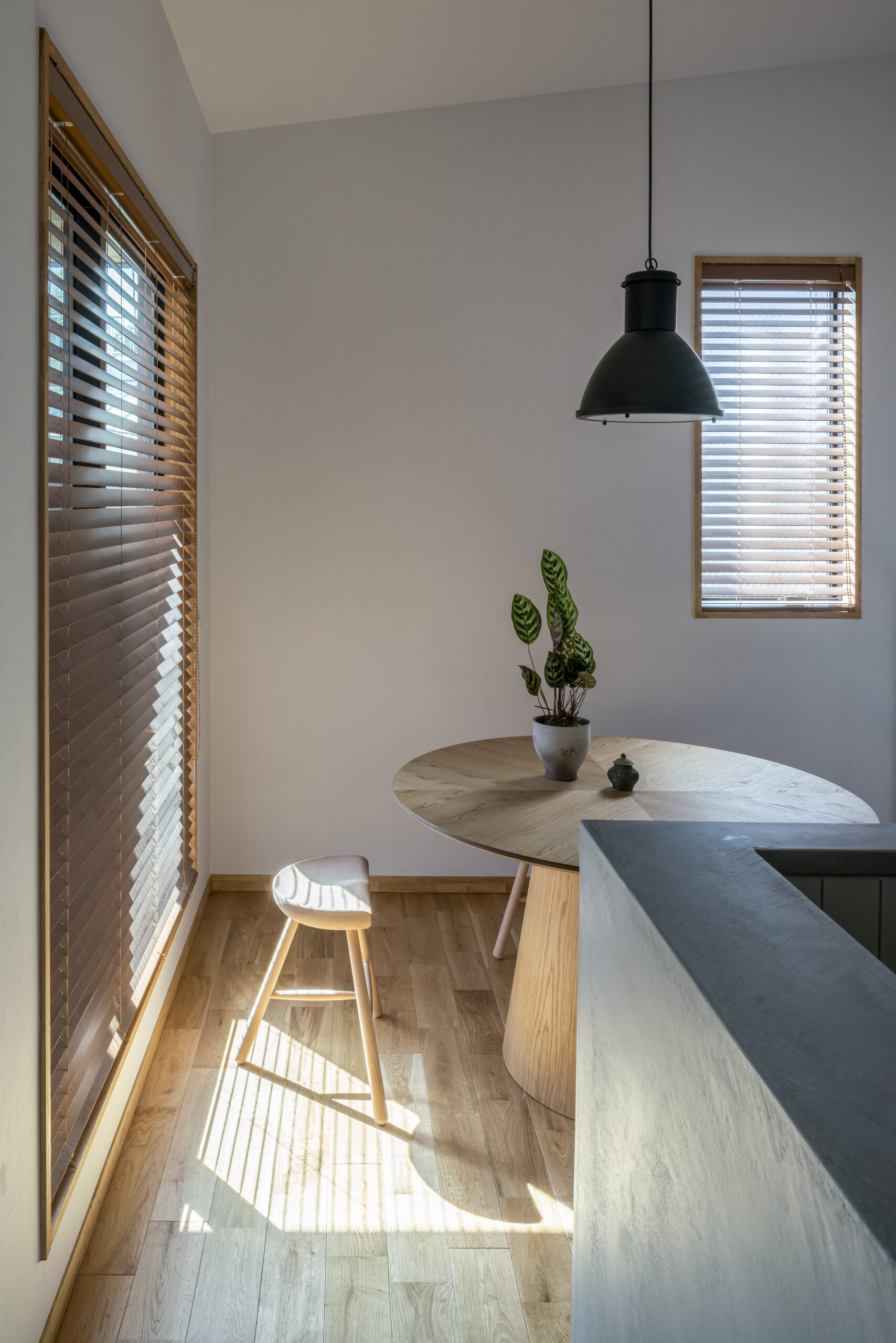 ギャラリーイメージ