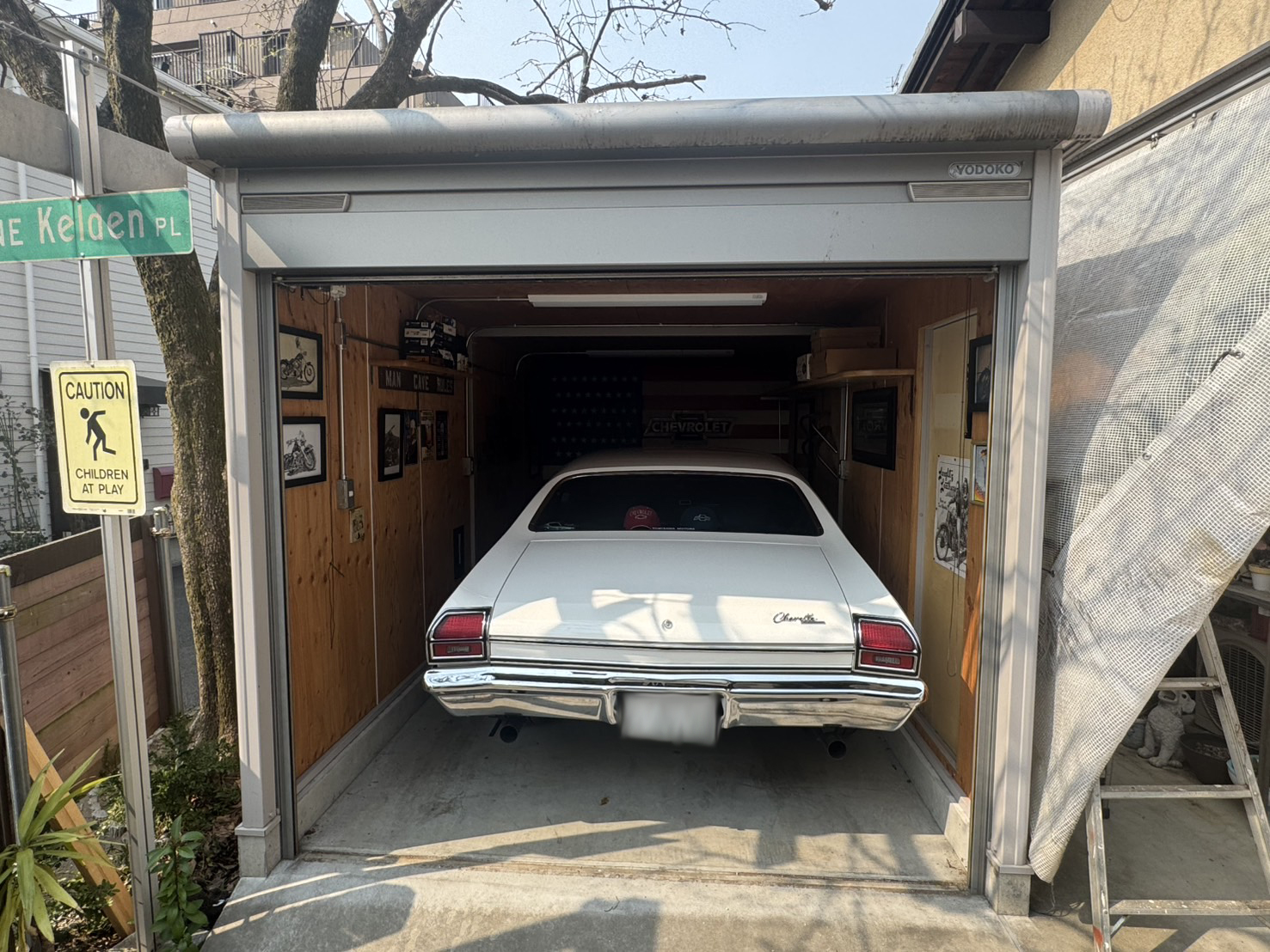 ギャラリーイメージ