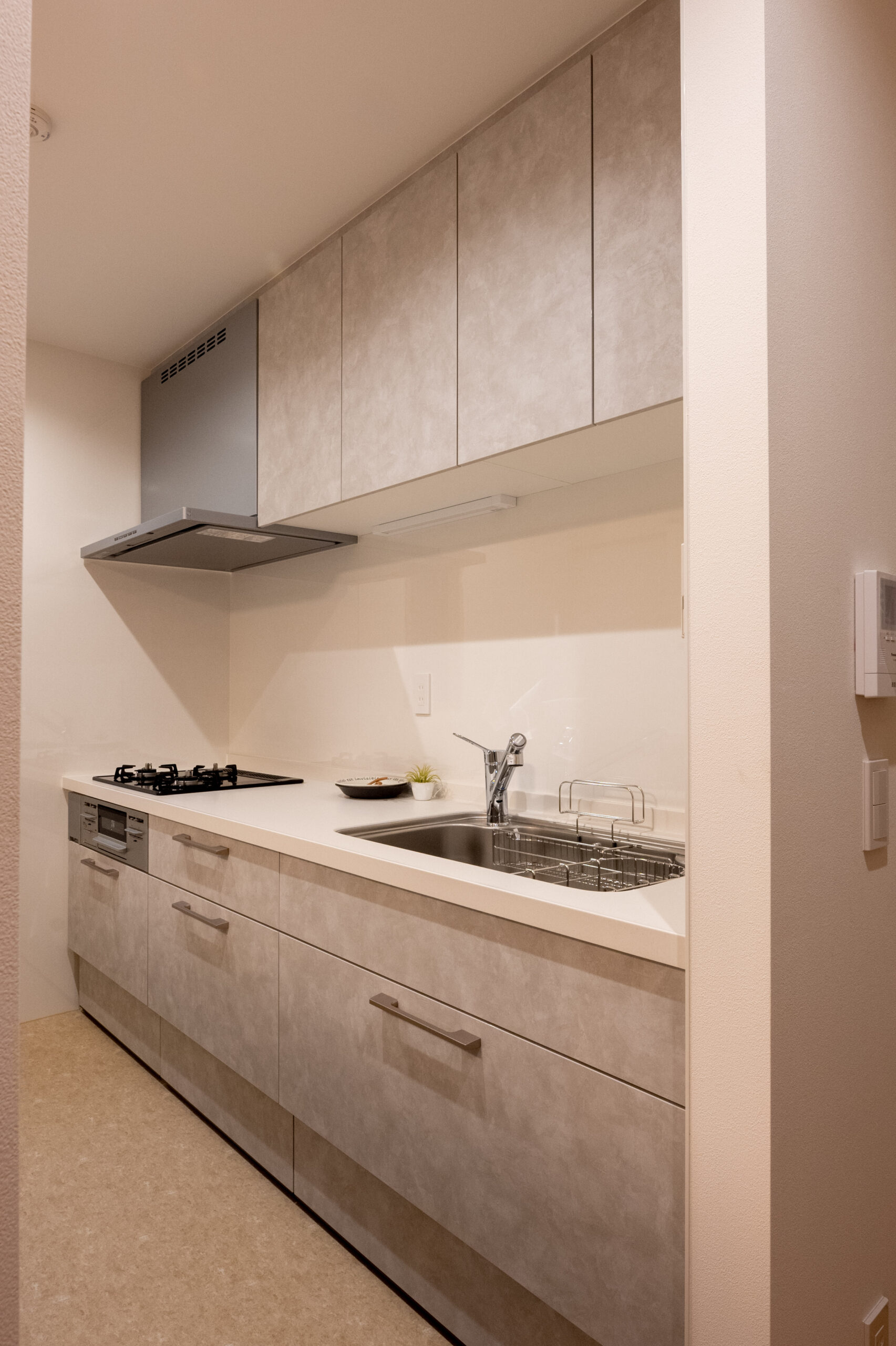 ギャラリーイメージ