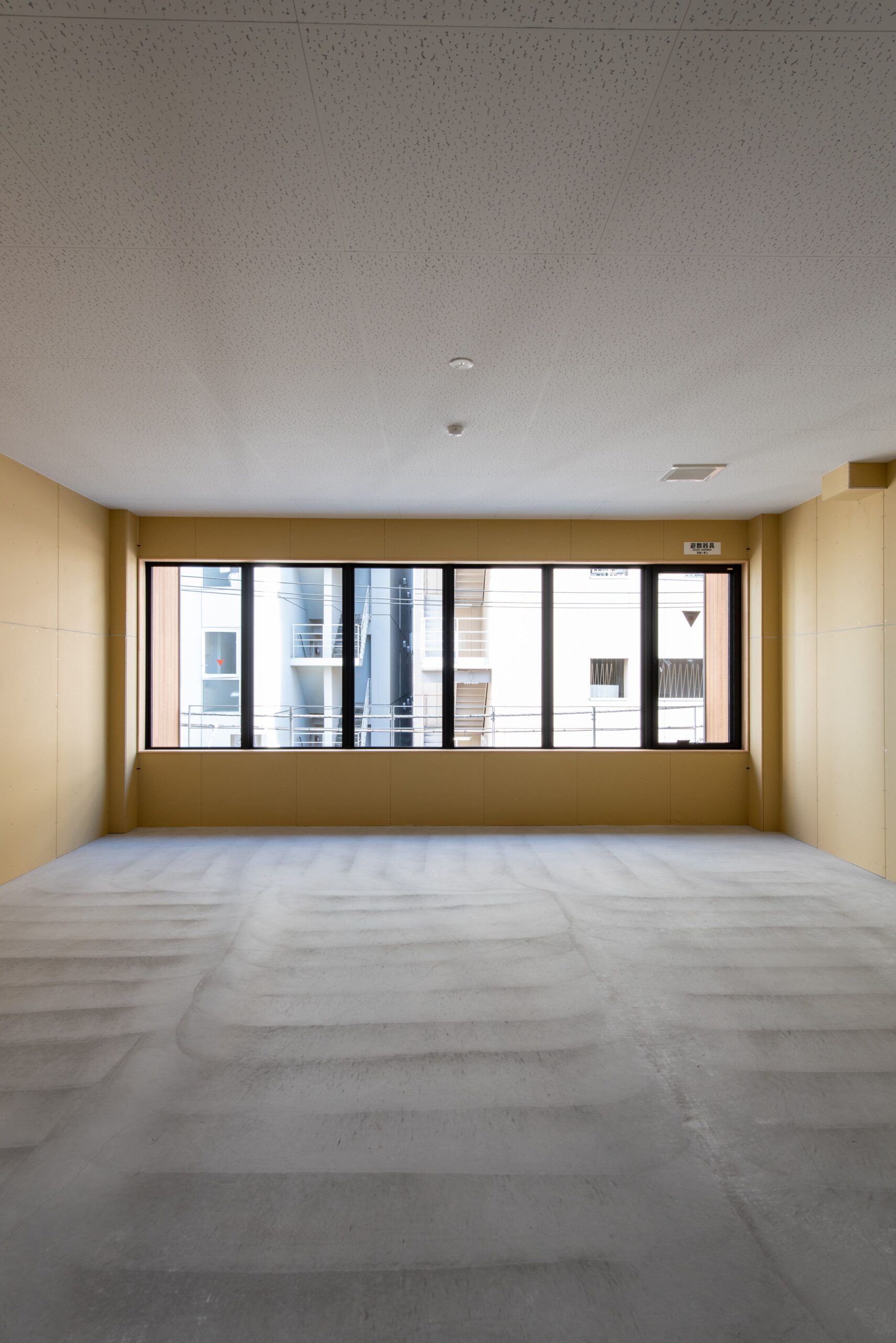 ギャラリーイメージ