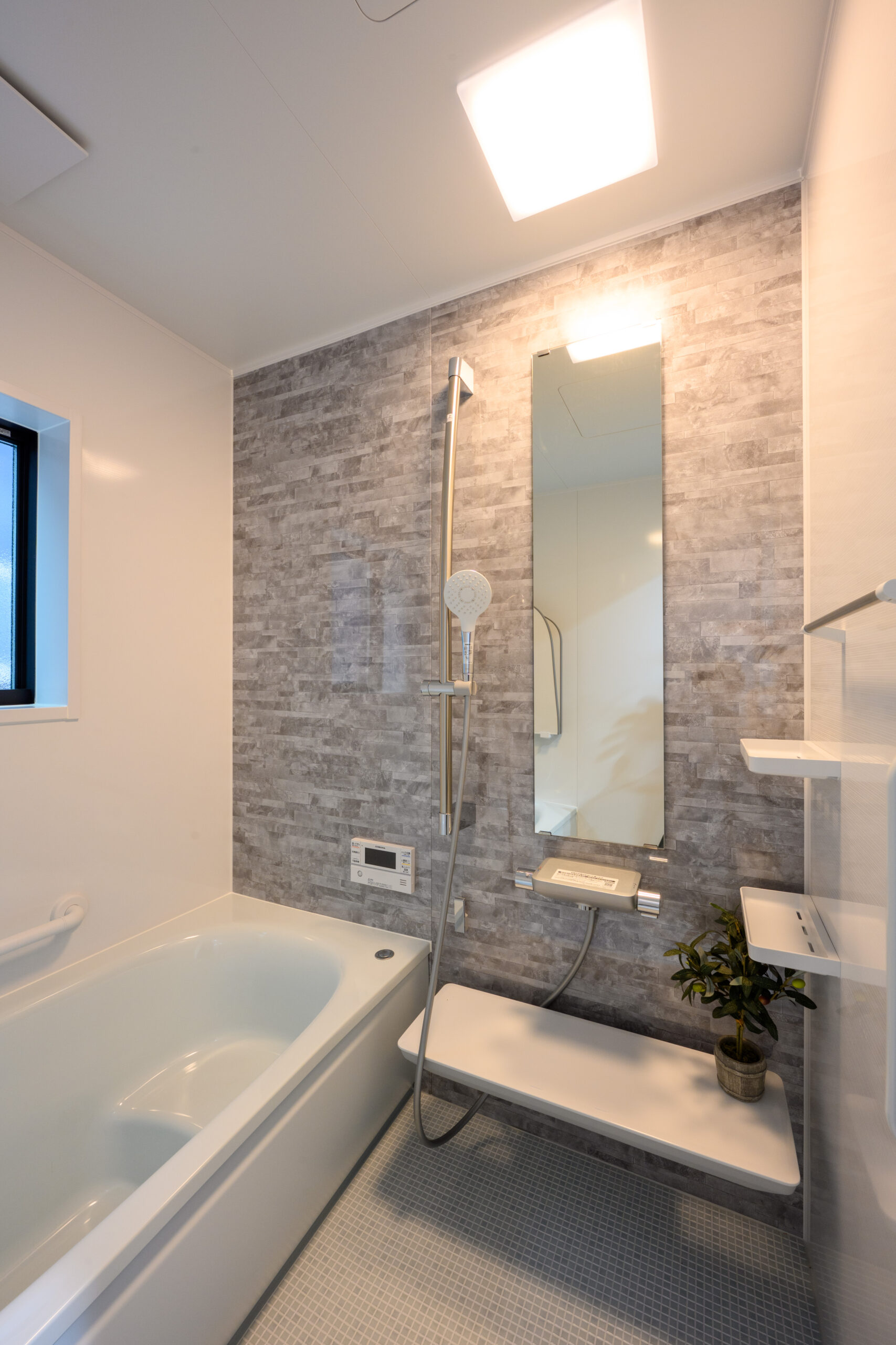 ギャラリーイメージ