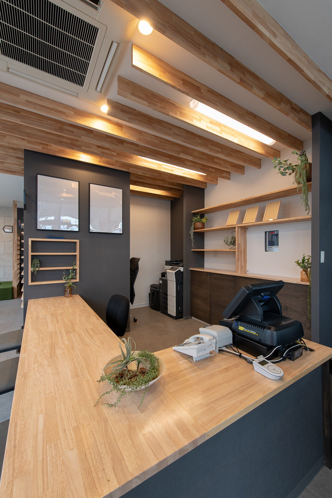 ギャラリーイメージ