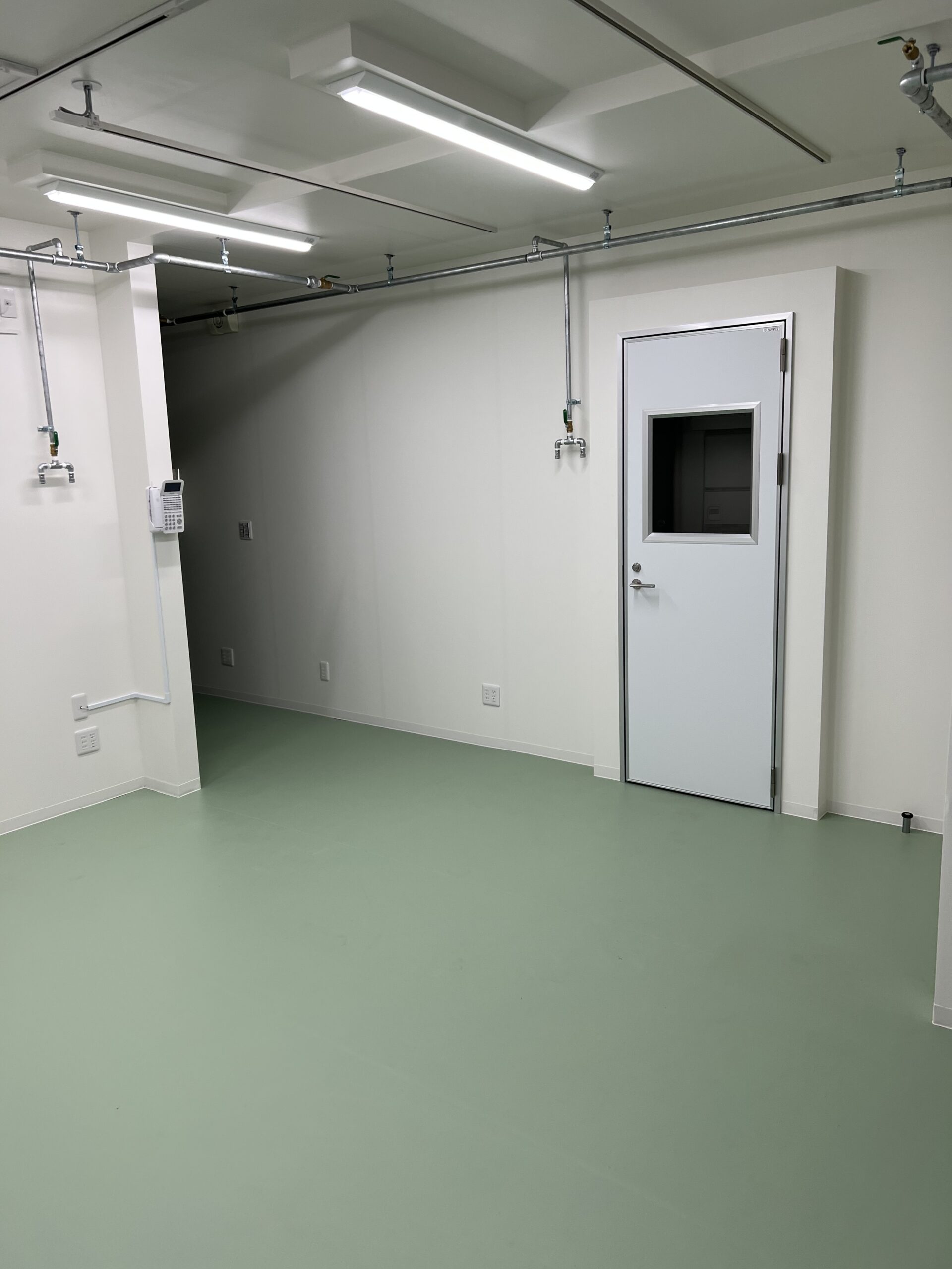 ギャラリーイメージ