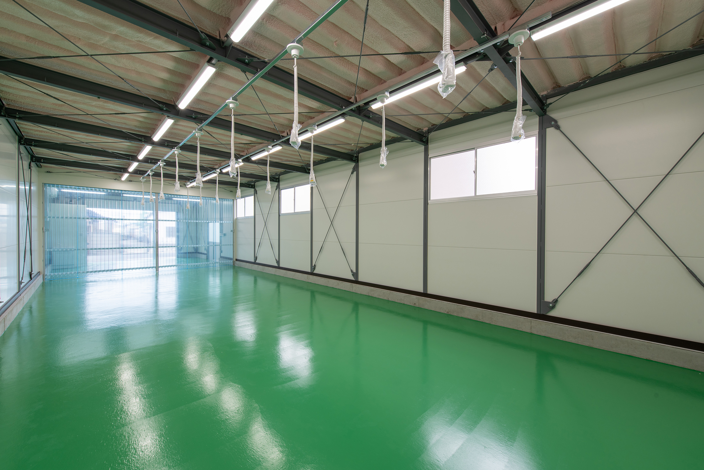 ギャラリーイメージ