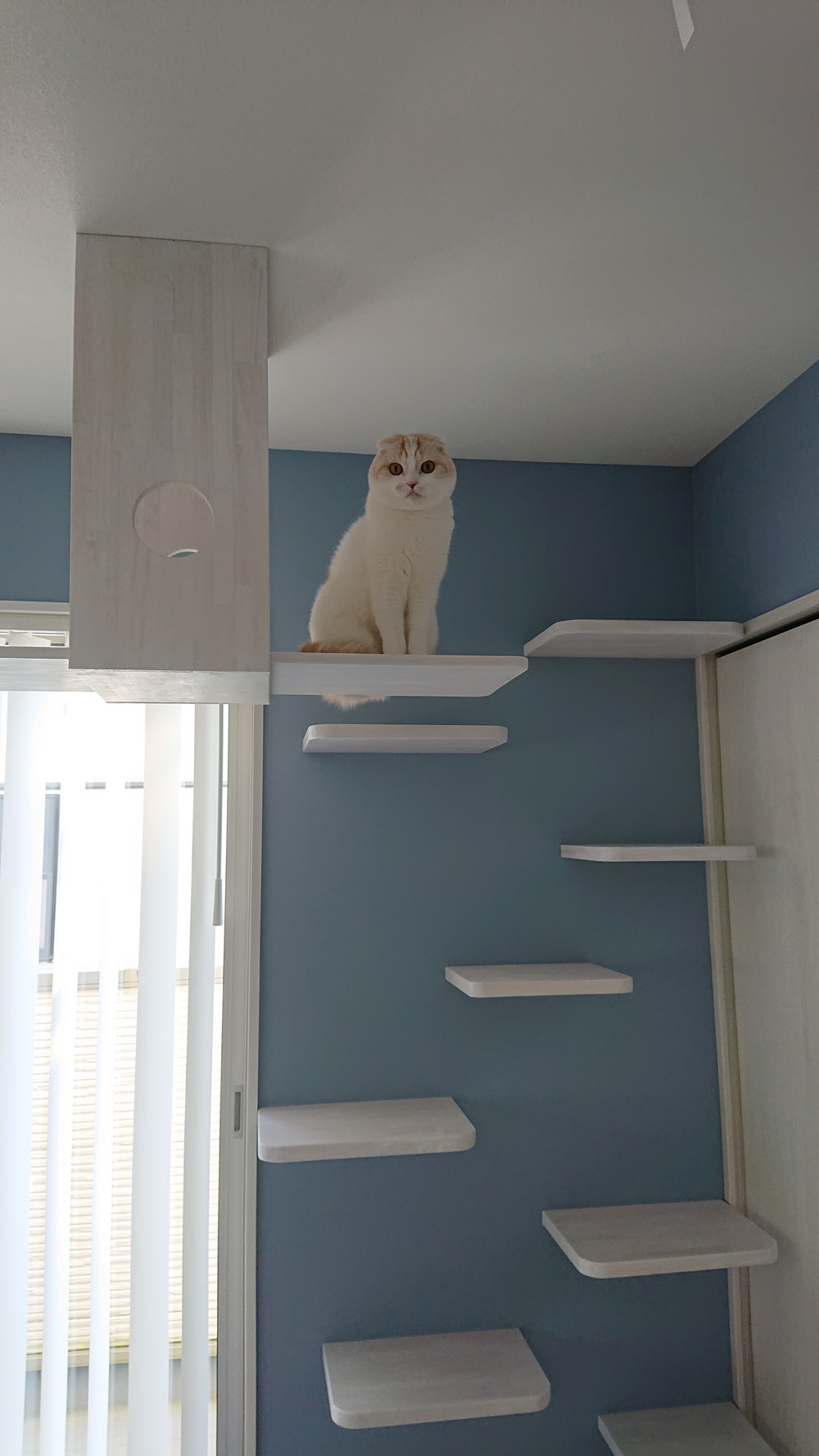 ギャラリーイメージ