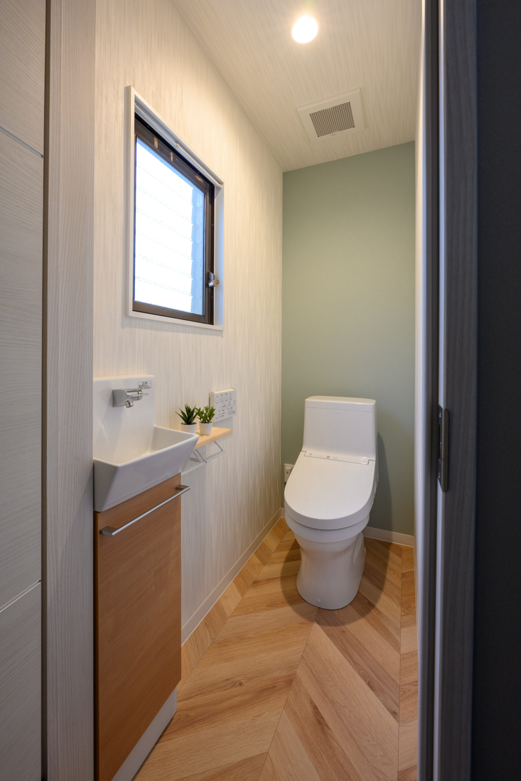 ギャラリーイメージ