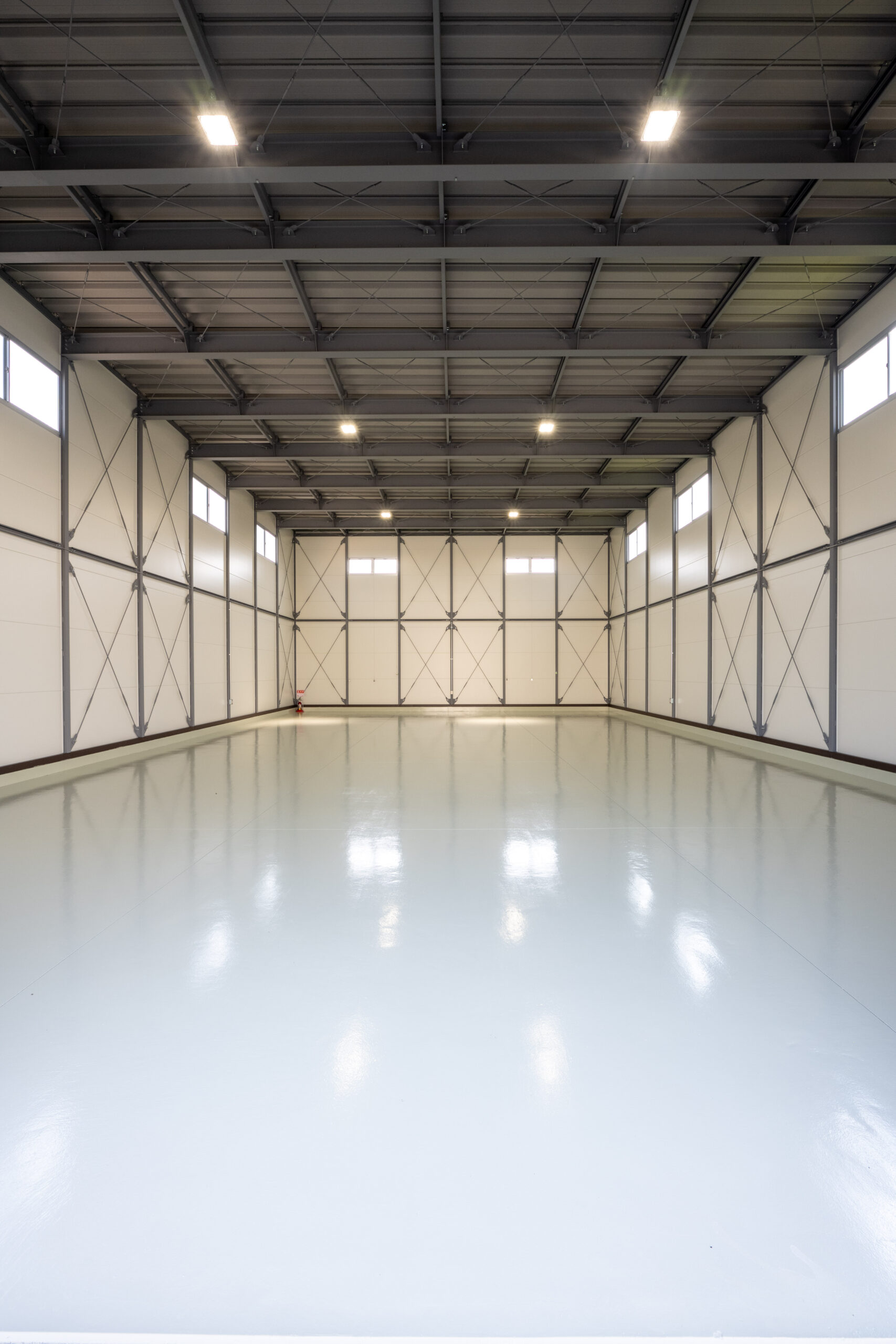 ギャラリーイメージ