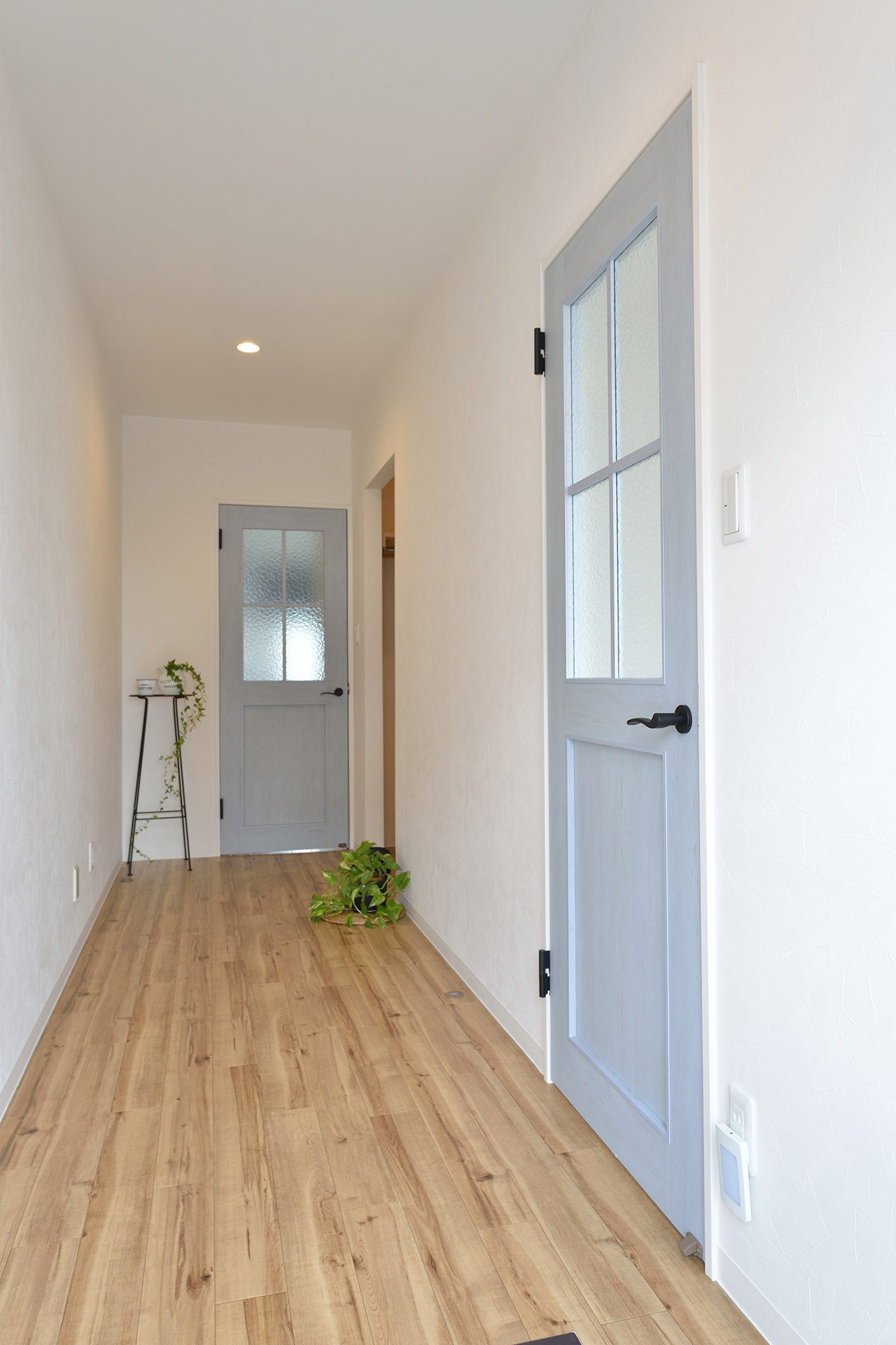 ギャラリーイメージ