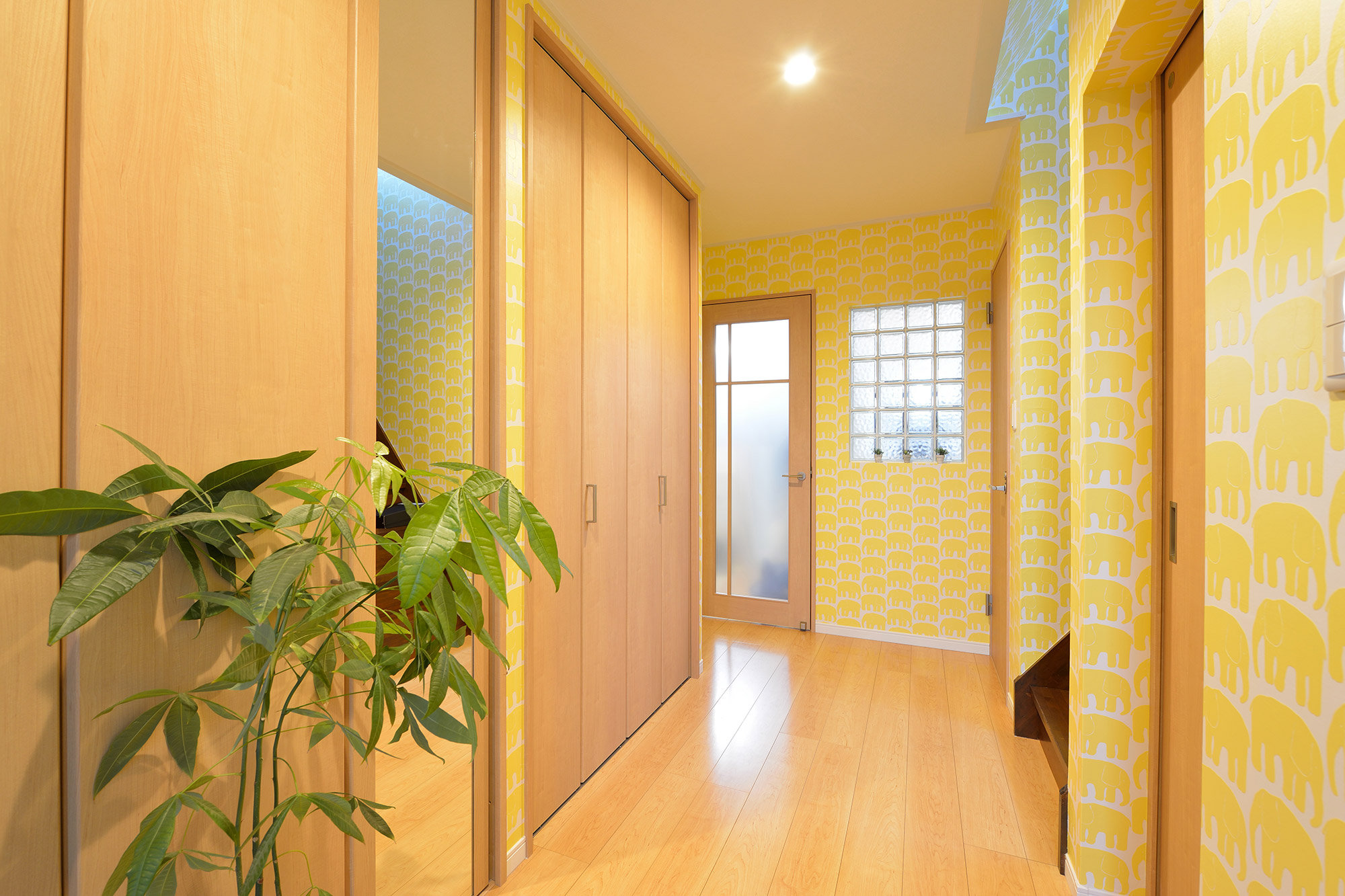 ギャラリーイメージ