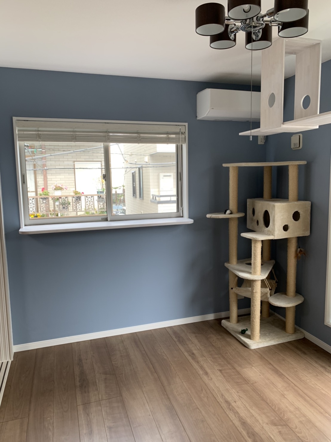 ギャラリーイメージ