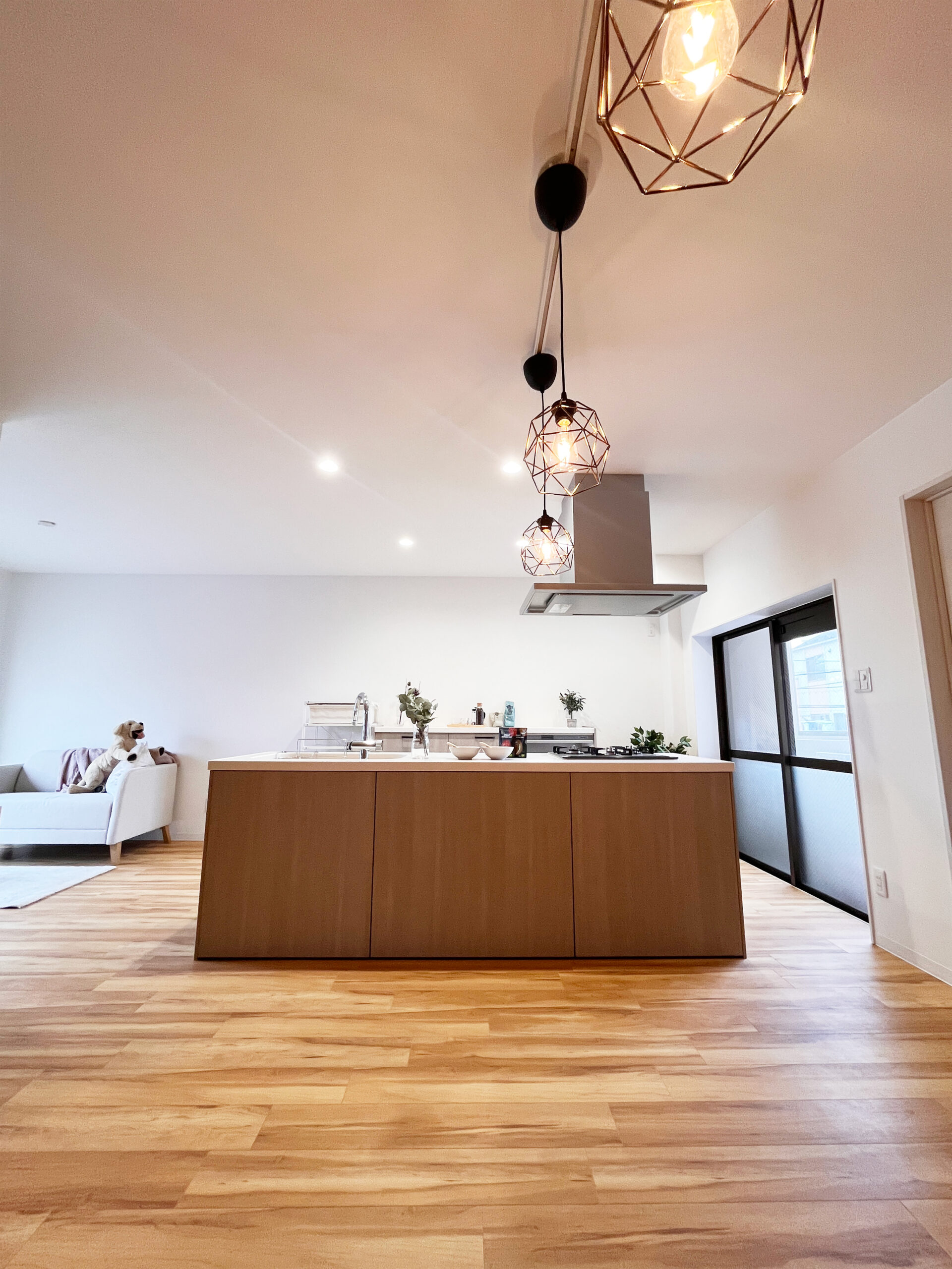 ギャラリーイメージ