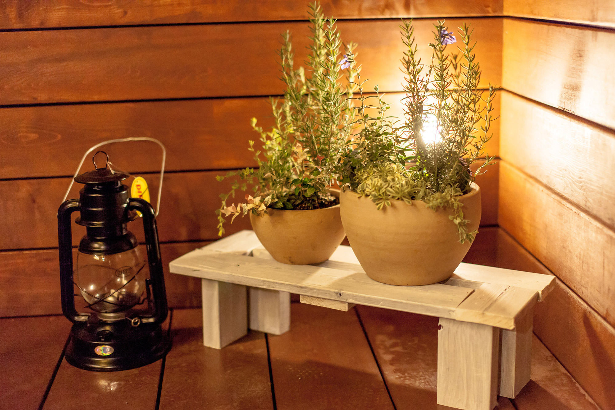 ギャラリーイメージ