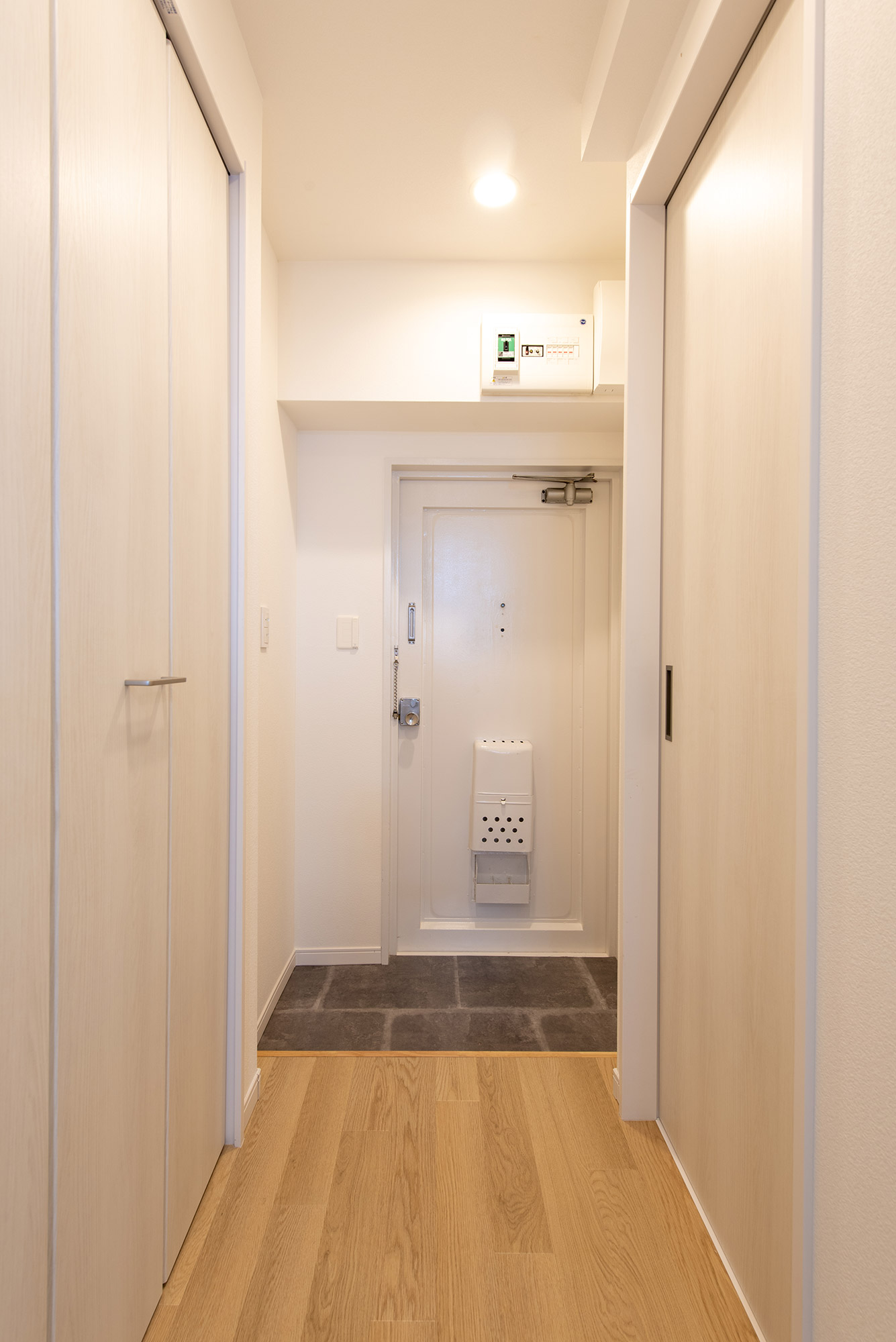 ギャラリーイメージ