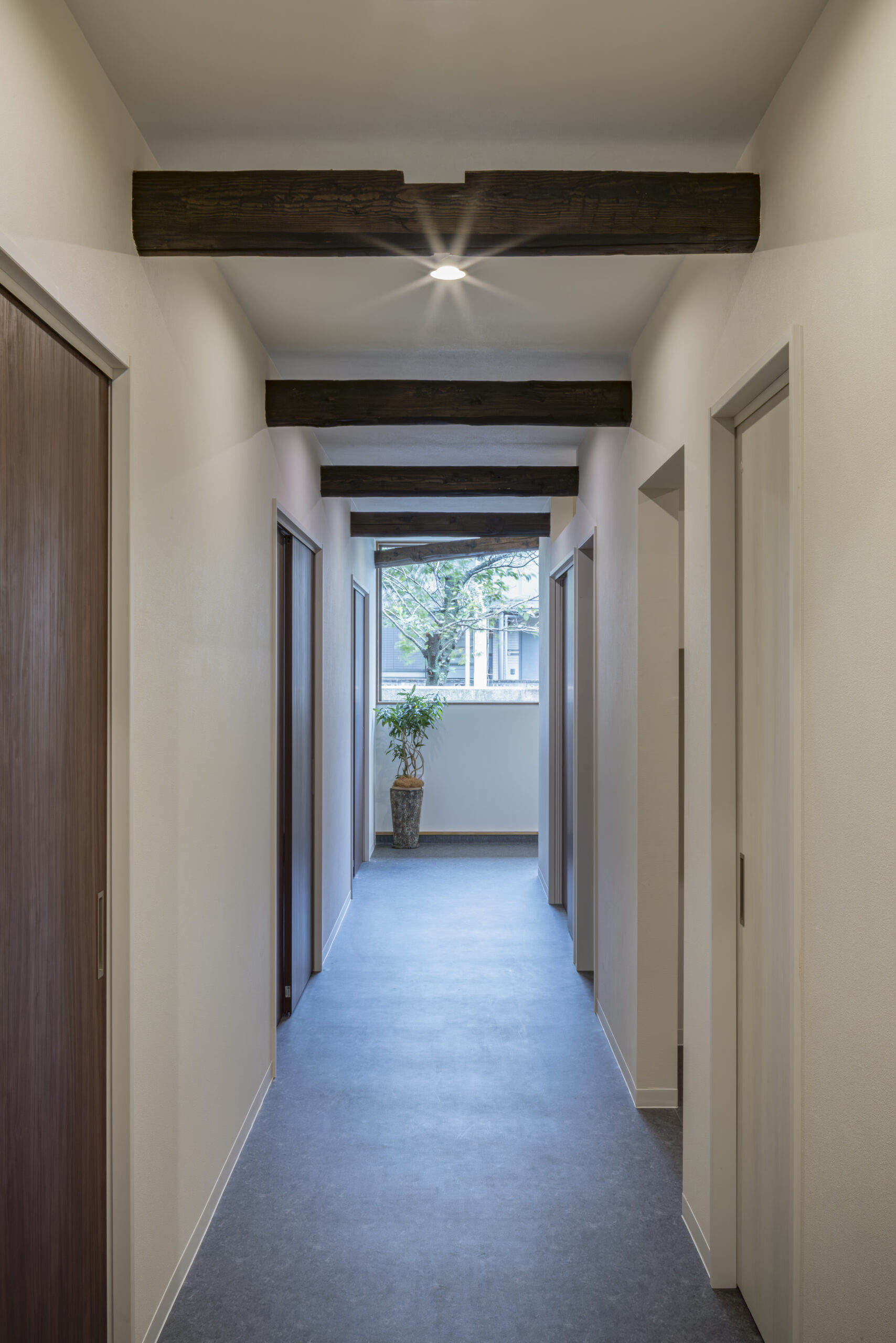 ギャラリーイメージ