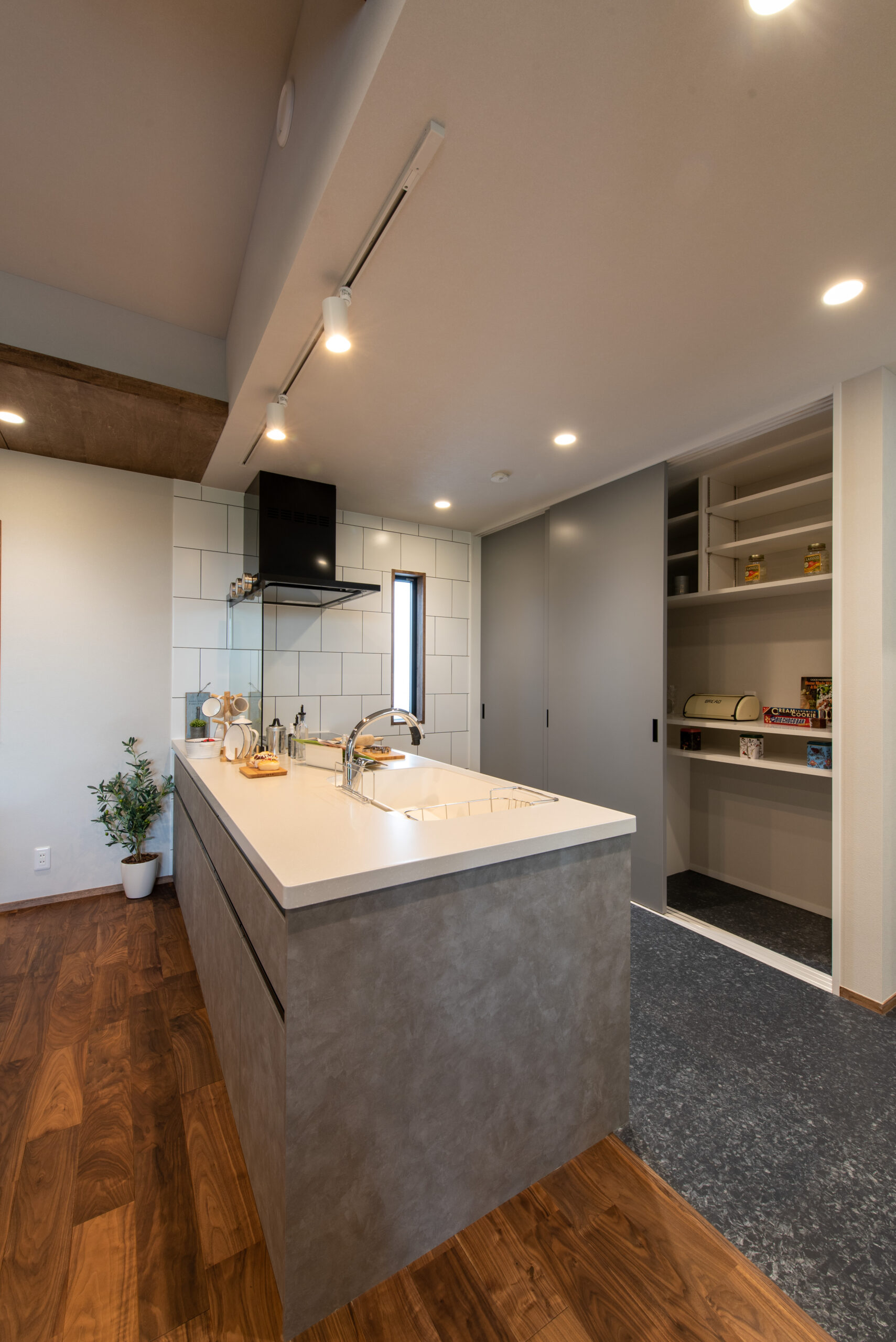 ギャラリーイメージ