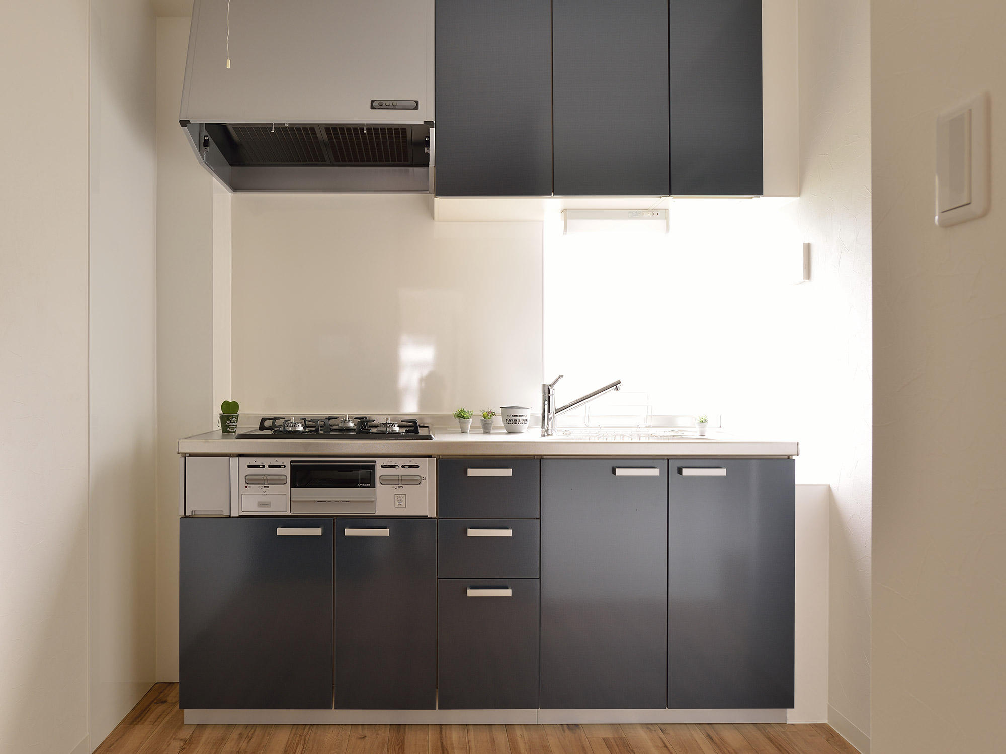 ギャラリーイメージ