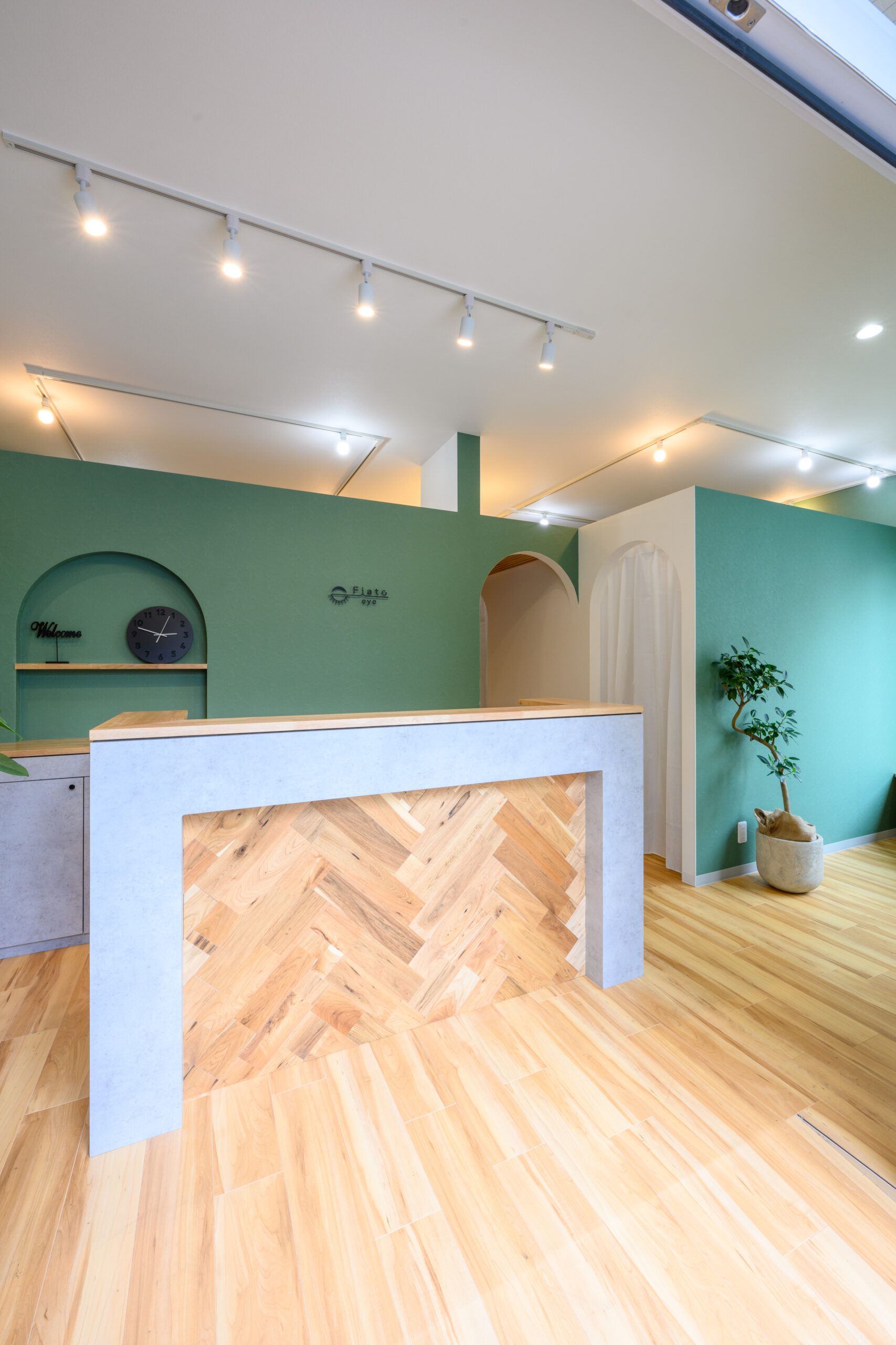 ギャラリーイメージ