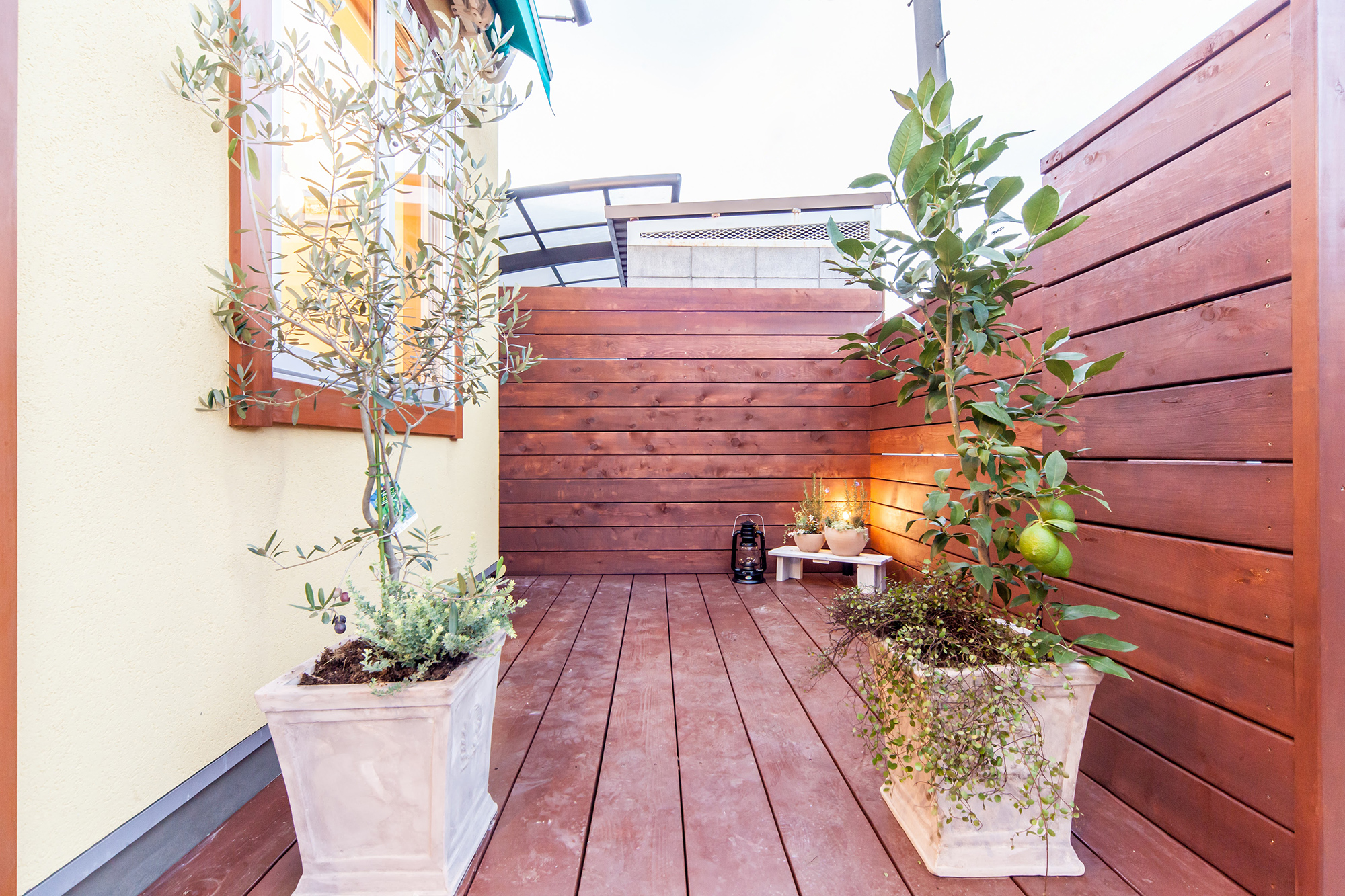 ギャラリーイメージ