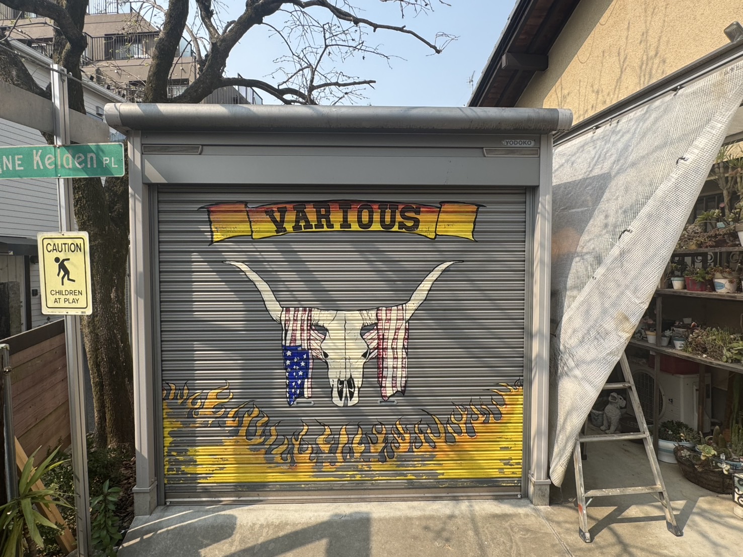 ギャラリーイメージ