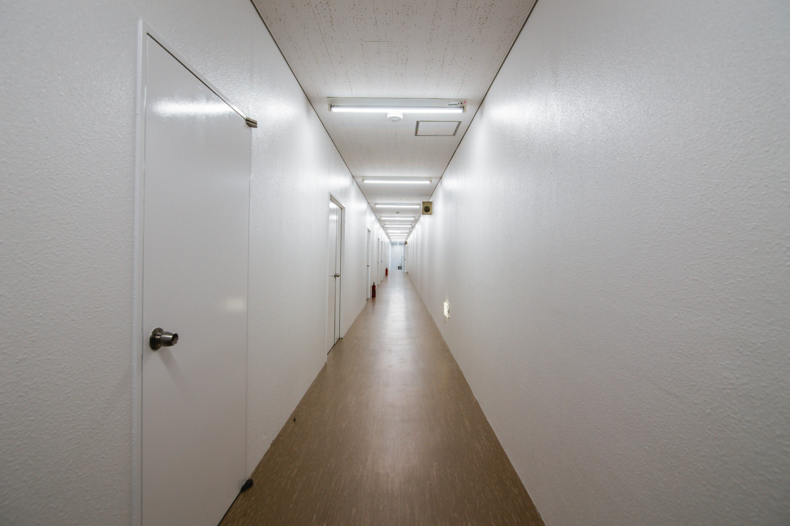 ギャラリーイメージ