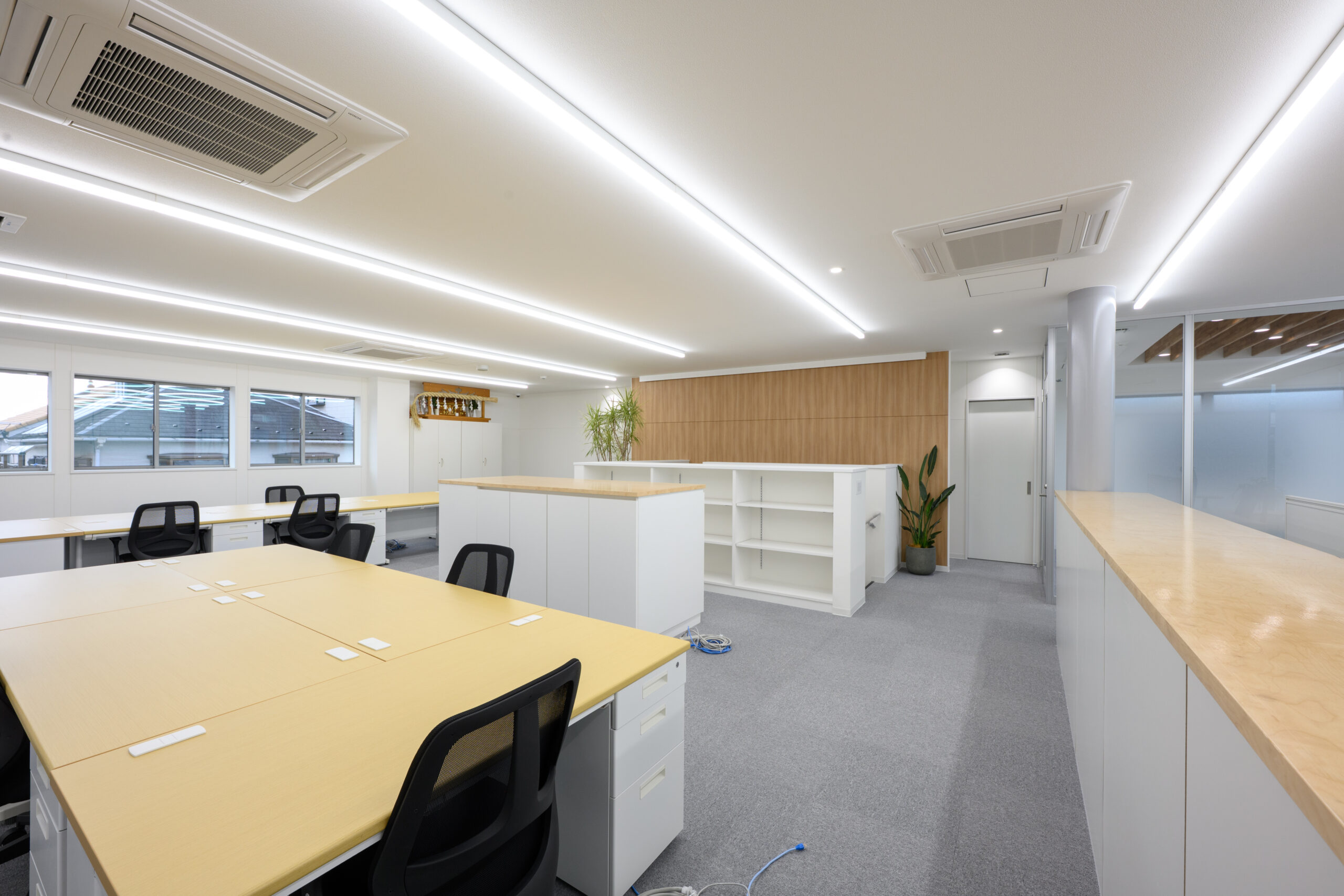 ギャラリーイメージ